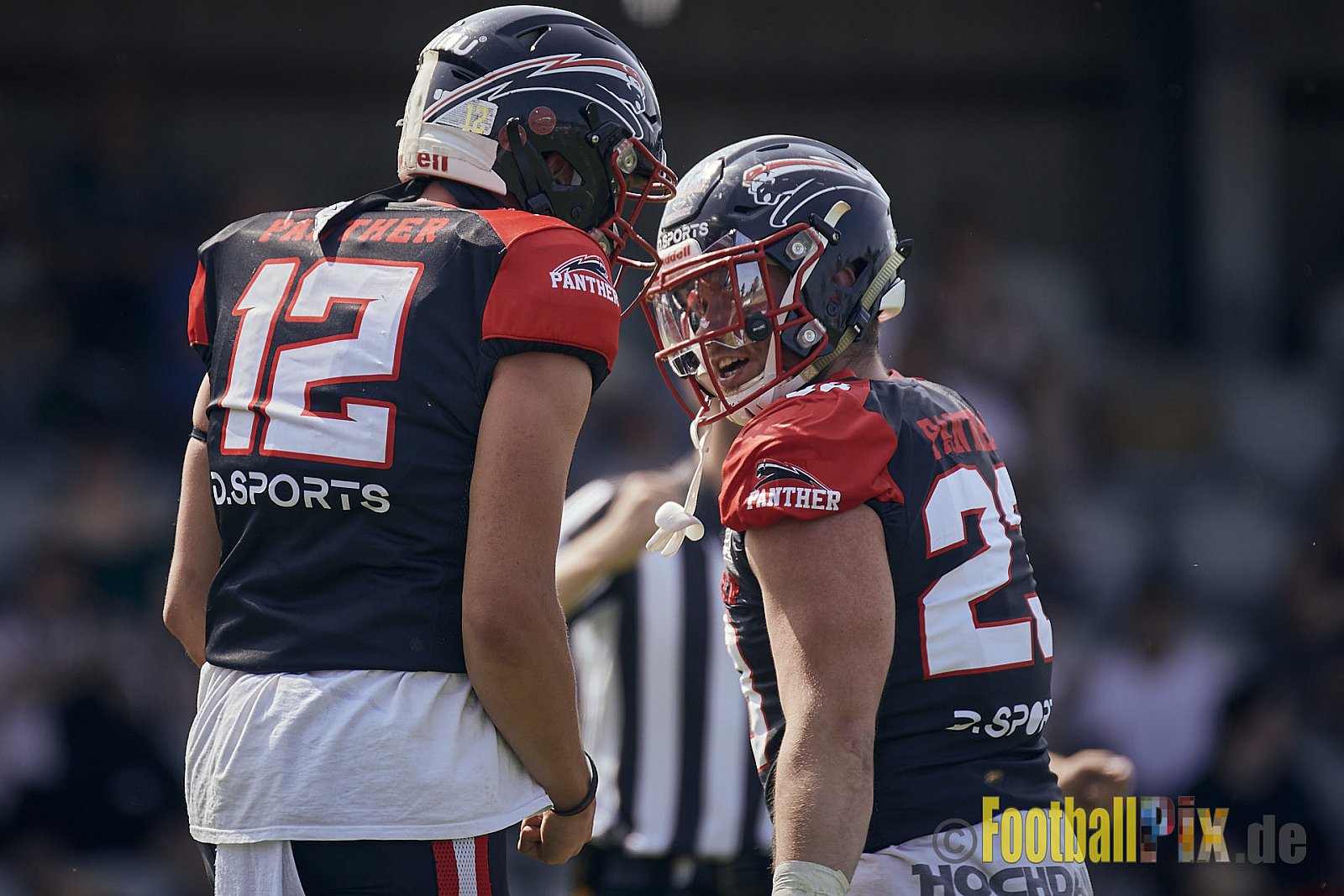 Spiel der GFL2 Season 2023 Düsseldorf Panther vs. Rostock Griffins am 17.06.2023 im Stadion VfL Benrath, Karl-Hohmann-Straße 70, 40597 Düsseldorf. Punkte Endstand 46 : 26. 
Bildnummer: 2023-06-17_0130 - DPantherVsRostockGriffins