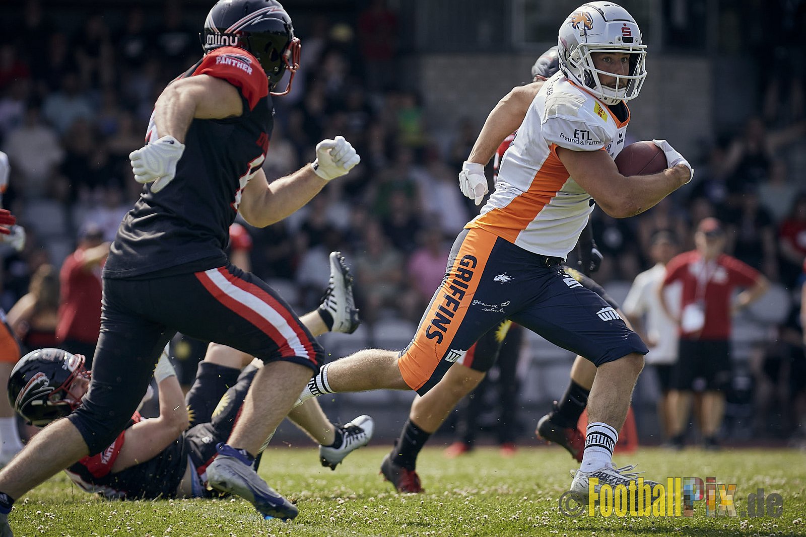Spiel der GFL2 Season 2023 Düsseldorf Panther vs. Rostock Griffins am 17.06.2023 im Stadion VfL Benrath, Karl-Hohmann-Straße 70, 40597 Düsseldorf. Punkte Endstand 46 : 26. 
Bildnummer: 2023-06-17_0173 - DPantherVsRostockGriffins