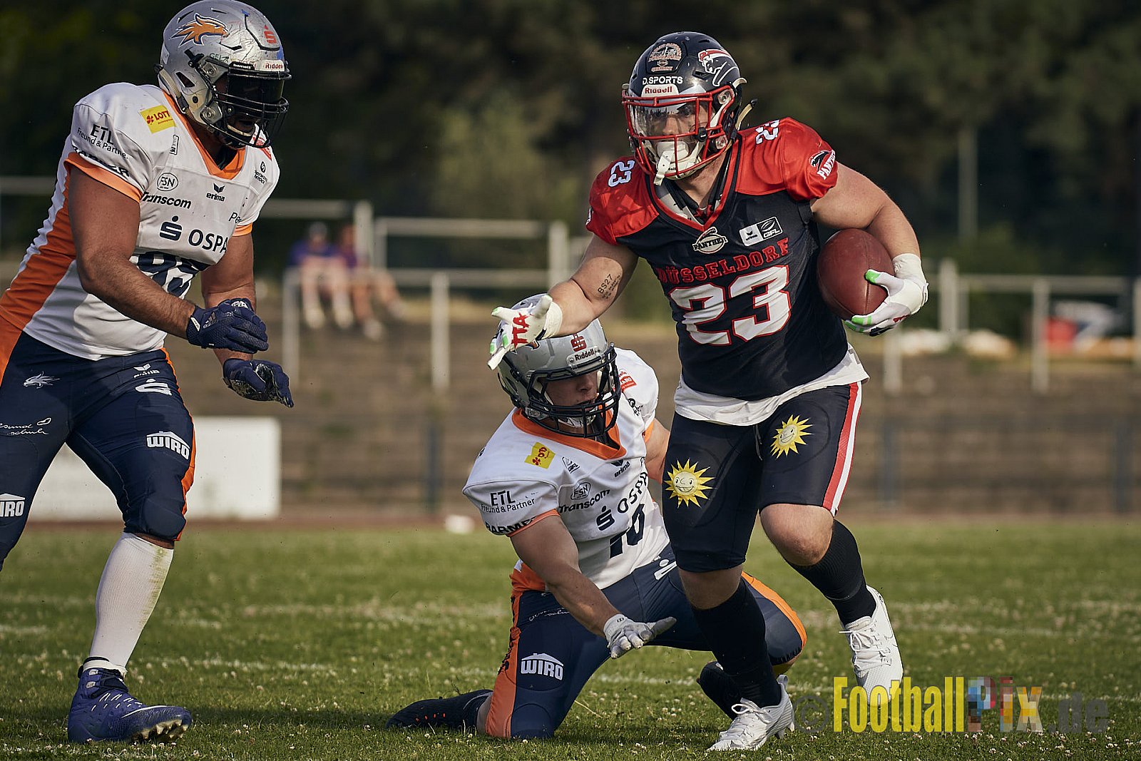 Spiel der GFL2 Season 2023 Düsseldorf Panther vs. Rostock Griffins am 17.06.2023 im Stadion VfL Benrath, Karl-Hohmann-Straße 70, 40597 Düsseldorf. Punkte Endstand 46 : 26. 
Bildnummer: 2023-06-17_0464 - DPantherVsRostockGriffins