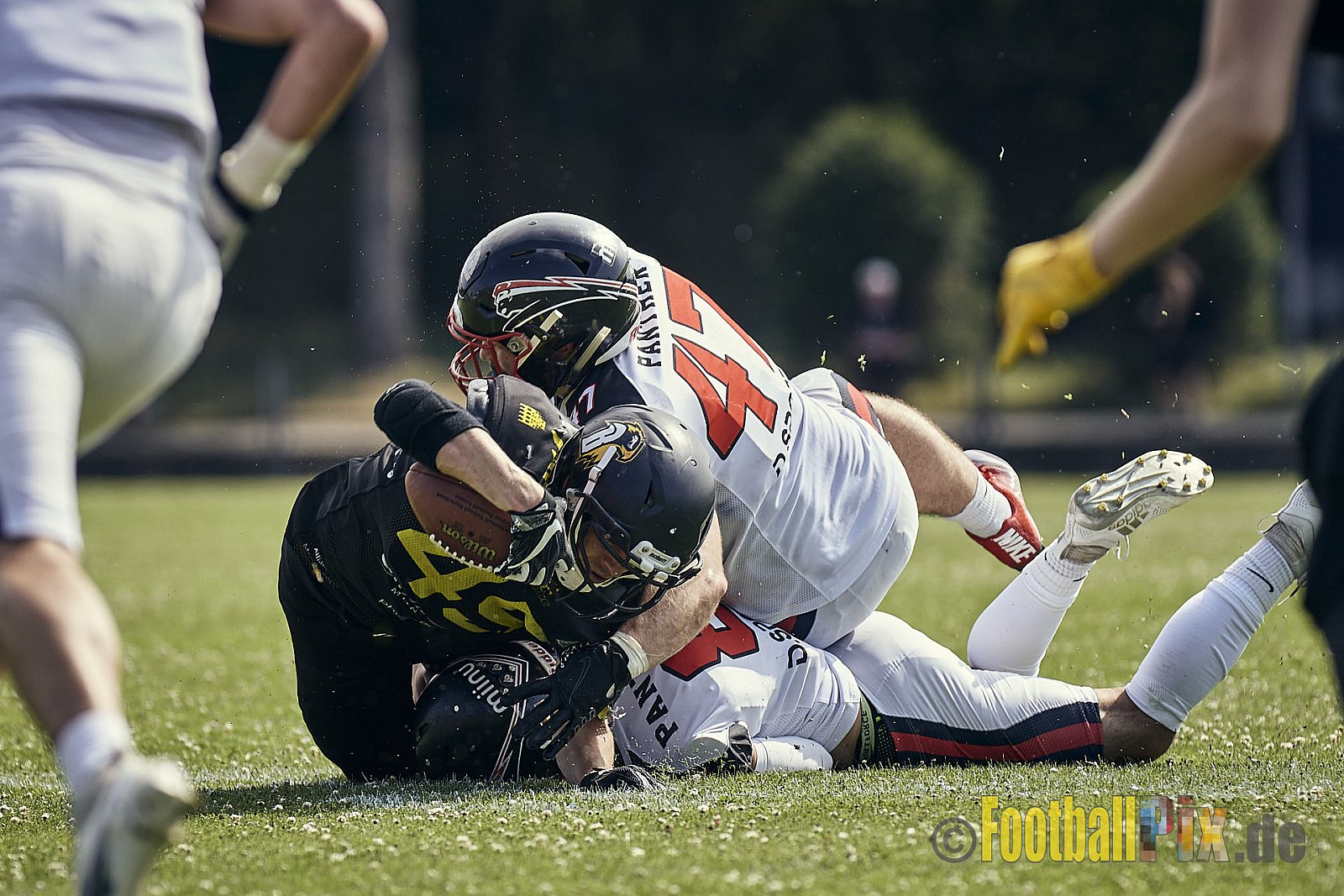 Spiel der GFL2 Season 2023 Düsseldorf Panther vs. Münster Blackhawks am 08.07.2023 im Stadion VfL Benrath, Karl-Hohmann-Straße 70, 40597 Düsseldorf. Punkte Endstand 39 : 0. 
Bildnummer: 2023-07-08_0117 - DPantherVsMsBlackhawks