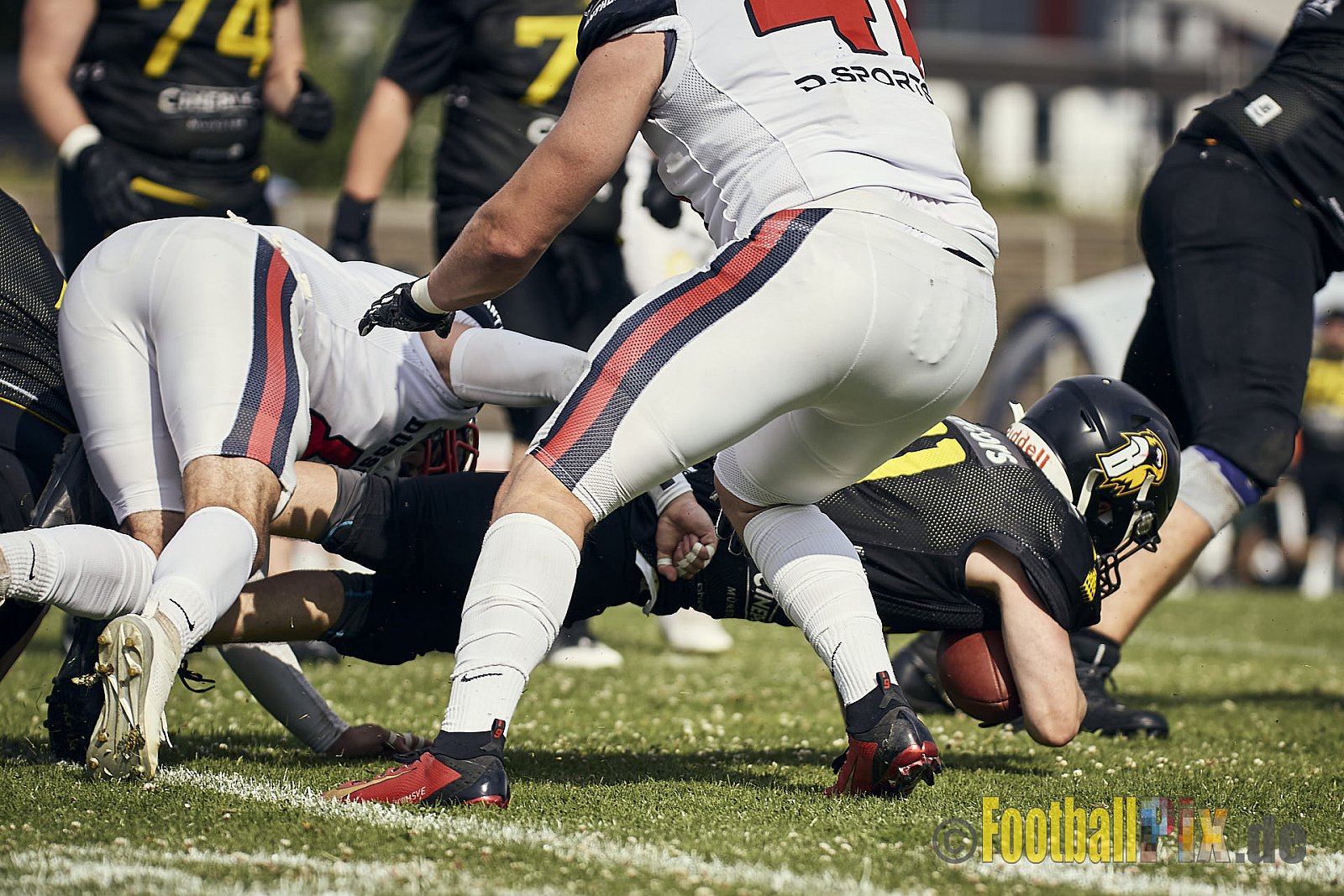Spiel der GFL2 Season 2023 Düsseldorf Panther vs. Münster Blackhawks am 08.07.2023 im Stadion VfL Benrath, Karl-Hohmann-Straße 70, 40597 Düsseldorf. Punkte Endstand 39 : 0. 
Bildnummer: 2023-07-08_0240 - DPantherVsMsBlackhawks