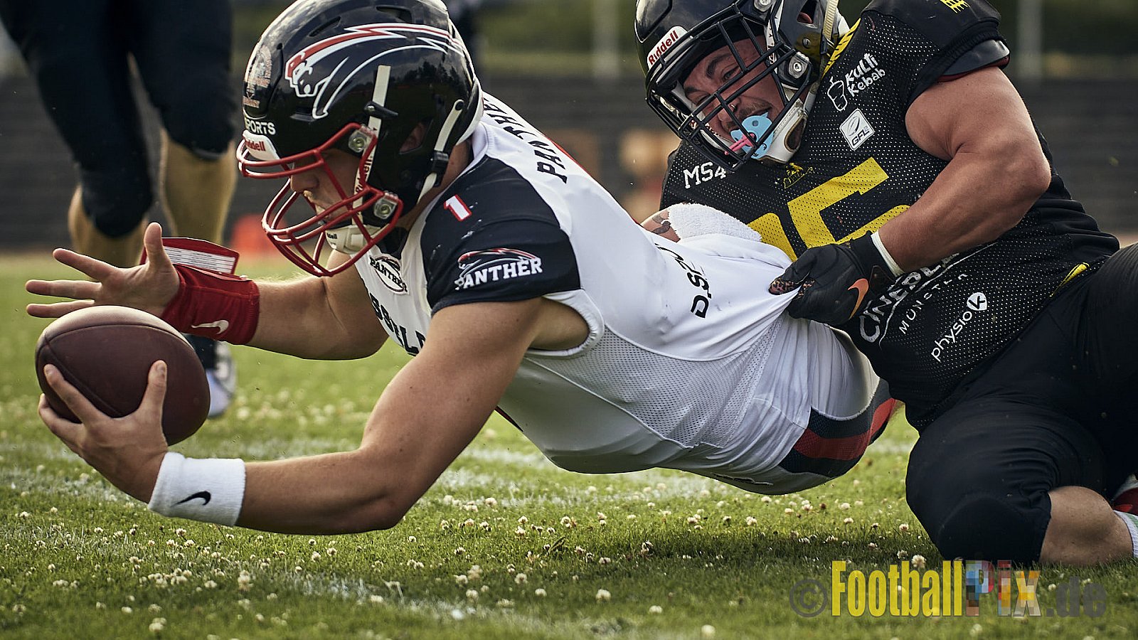 Spiel der GFL2 Season 2023 Düsseldorf Panther vs. Münster Blackhawks am 08.07.2023 im Stadion VfL Benrath, Karl-Hohmann-Straße 70, 40597 Düsseldorf. Punkte Endstand 39 : 0. 
Bildnummer: 2023-07-08_0383 - DPantherVsMsBlackhawks