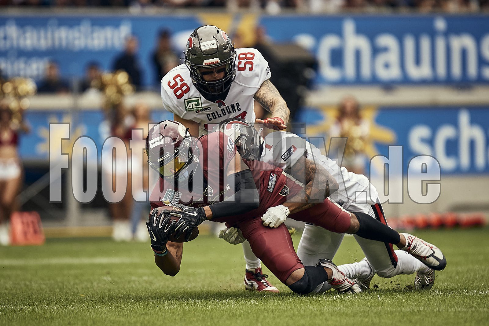 Die 8. Spielwoche der European League of Football (ELF) Season 2023 Rhein Fire vs. Cologne Centurions am 23.07.2023 im Stadion Schauinsland-Reisen-Arena, Margaretenstraße 5-7, 47055 Duisburg. Punkte Endstand 62 : 03. 
Bildnummer: 2023-07-23_0191 - ELF CologneCenturions@RheinFire