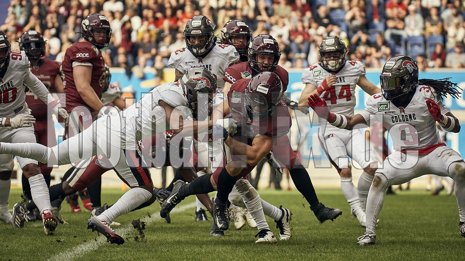 Die 8. Spielwoche der European League of Football (ELF) Season 2023 Rhein Fire vs. Cologne Centurions am 23.07.2023 im Stadion Schauinsland-Reisen-Arena, Margaretenstraße 5-7, 47055 Duisburg. Punkte Endstand 62 : 03. 
Bildnummer: 2023-07-23_0670 - ELF CologneCenturions@RheinFire