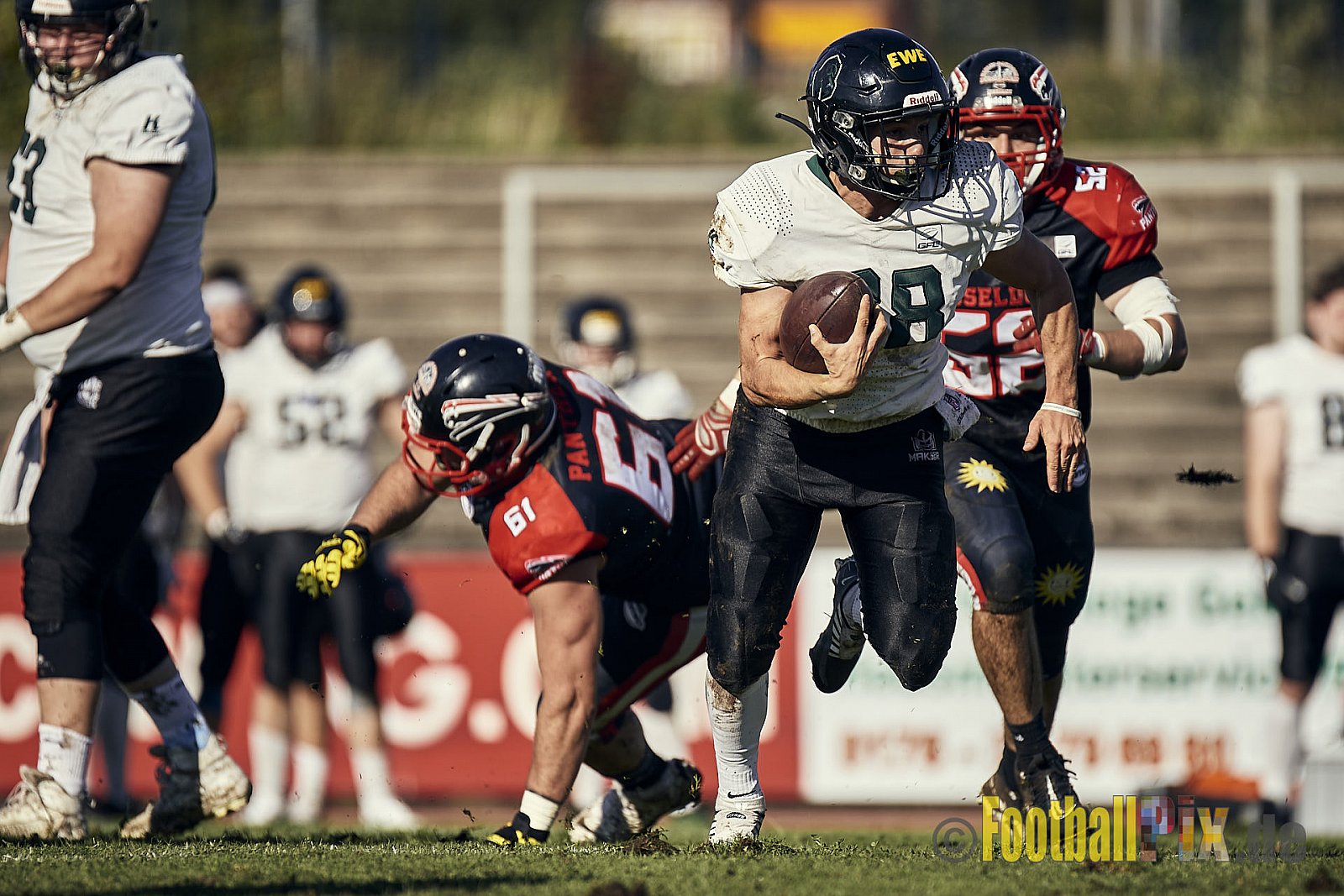 Ligaspiel der GFL2 Season 2023 Düsseldorf Panther vs. Oldenburg Knights am 12.08.2023 im Stadion VfL Benrath, Karl-Hohmann-Straße 70, 40597 Düsseldorf. Punkte Endstand 6 : 8.
Bildnummer: 2023-08-12_0155 - DPantherVsOldenburgKnights
