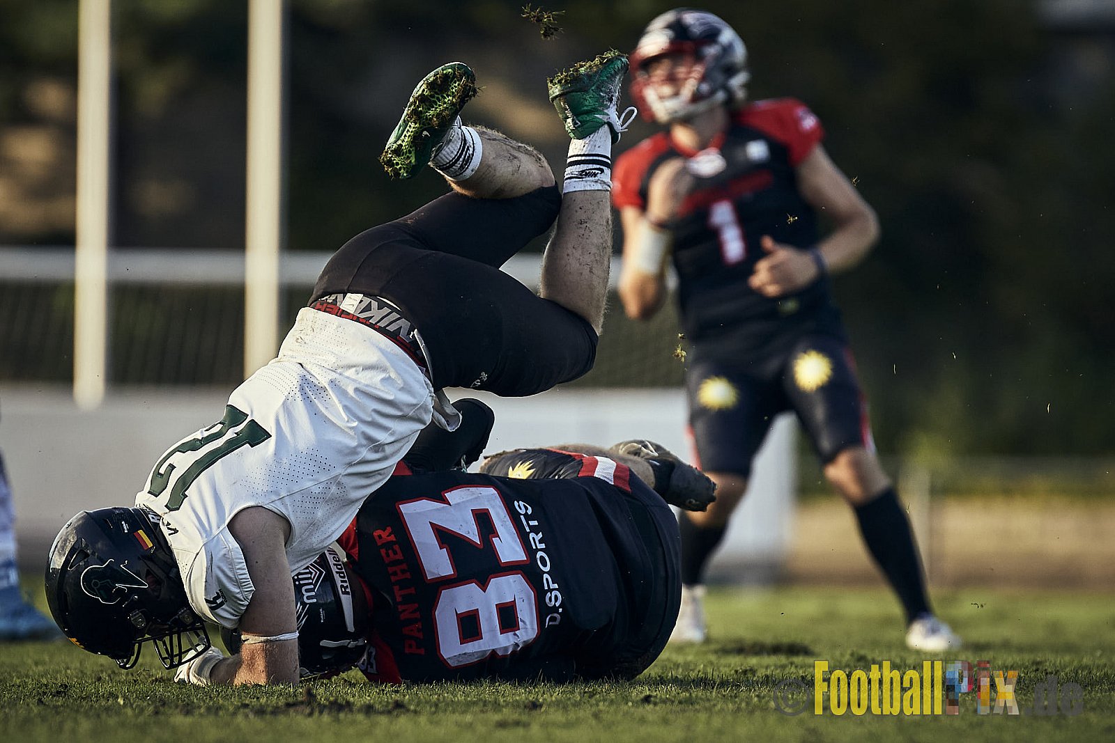 Ligaspiel der GFL2 Season 2023 Düsseldorf Panther vs. Oldenburg Knights am 12.08.2023 im Stadion VfL Benrath, Karl-Hohmann-Straße 70, 40597 Düsseldorf. Punkte Endstand 6 : 8.
Bildnummer: 2023-08-12_0305 - DPantherVsOldenburgKnights