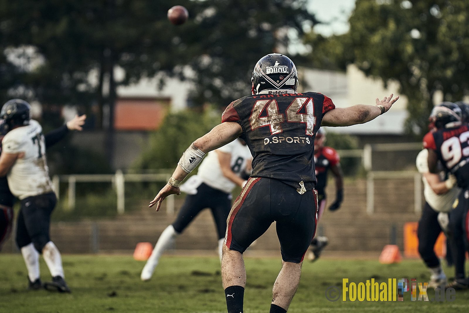 Ligaspiel der GFL2 Season 2023 Düsseldorf Panther vs. Oldenburg Knights am 12.08.2023 im Stadion VfL Benrath, Karl-Hohmann-Straße 70, 40597 Düsseldorf. Punkte Endstand 6 : 8.
Bildnummer: 2023-08-12_0372 - DPantherVsOldenburgKnights
