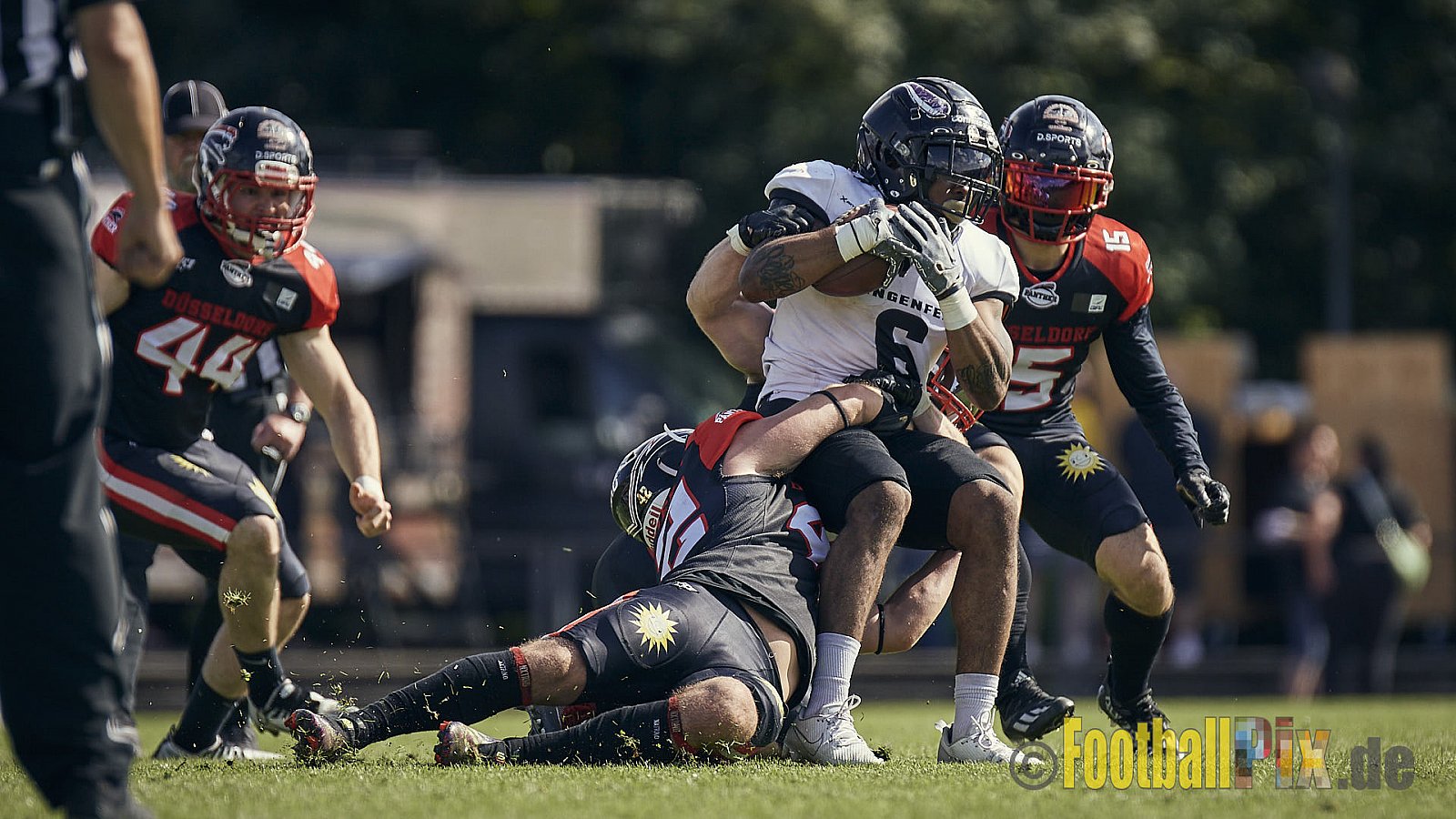 Ligaspiel der GFL2 Season 2023 Düsseldorf Panther vs. Langenfeld Longhorns am 26.08.2023 im Stadion VfL Benrath, Karl-Hohmann-Straße 70, 40597 Düsseldorf. Punkte Endstand 14 : 6 (7:0/7:0/0:0/0:6). 
Bildnummer: 2023-08-26_0119 - DPantherVsLangenfeldLonghorns