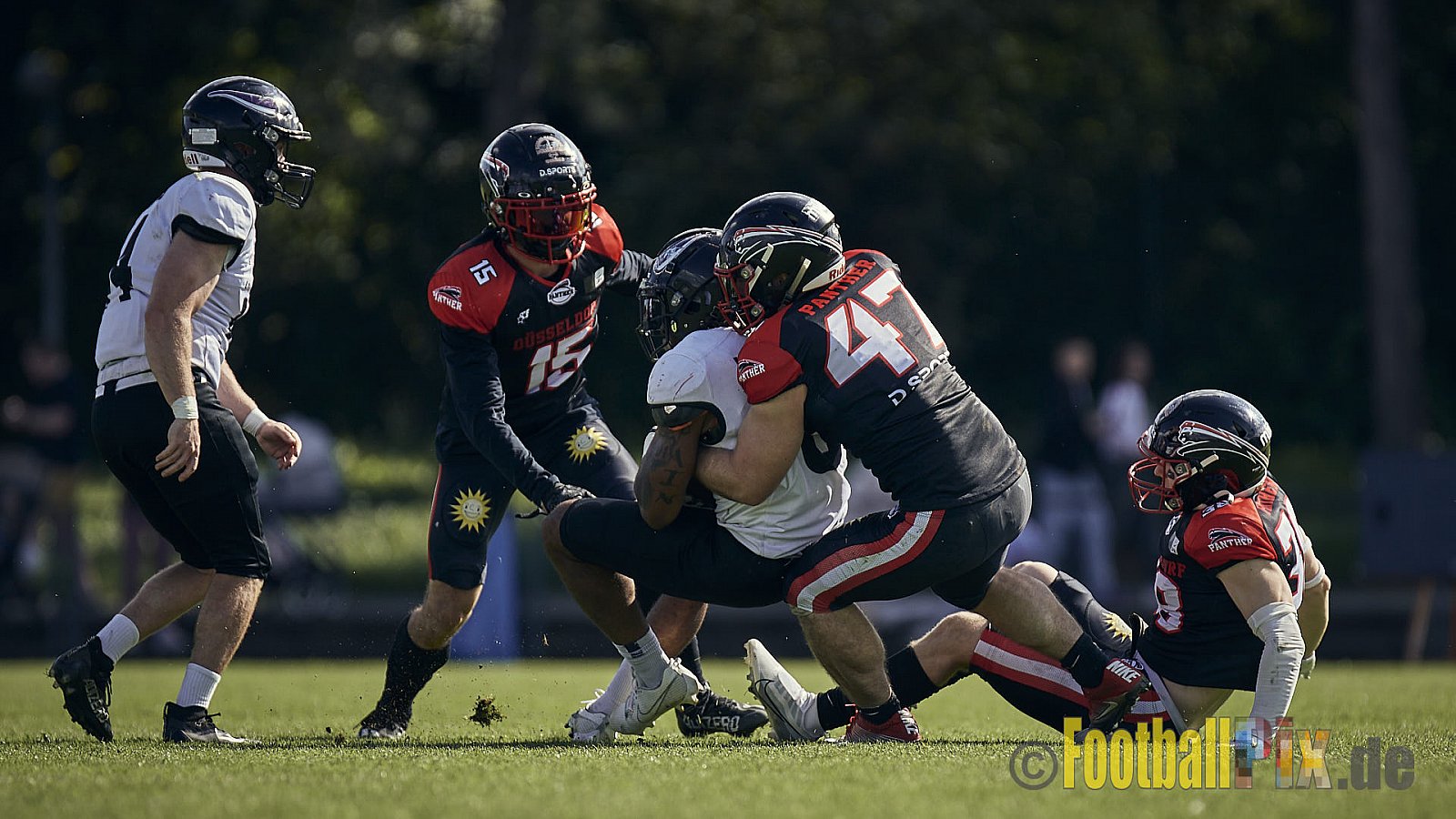 Ligaspiel der GFL2 Season 2023 Düsseldorf Panther vs. Langenfeld Longhorns am 26.08.2023 im Stadion VfL Benrath, Karl-Hohmann-Straße 70, 40597 Düsseldorf. Punkte Endstand 14 : 6 (7:0/7:0/0:0/0:6). 
Bildnummer: 2023-08-26_0127 - DPantherVsLangenfeldLonghorns