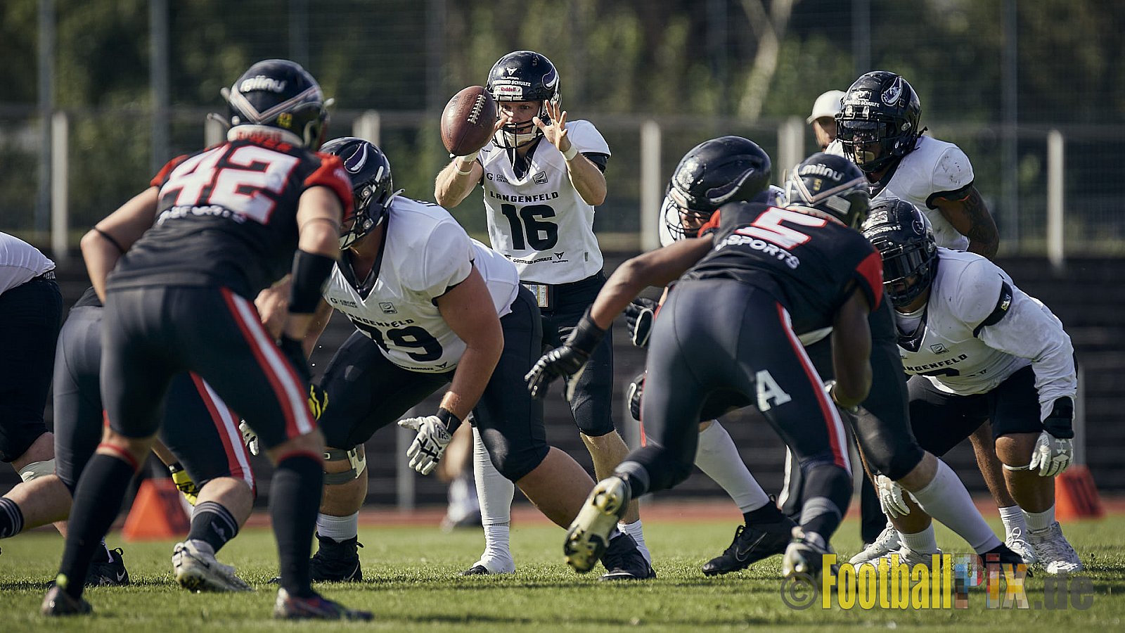 Ligaspiel der GFL2 Season 2023 Düsseldorf Panther vs. Langenfeld Longhorns am 26.08.2023 im Stadion VfL Benrath, Karl-Hohmann-Straße 70, 40597 Düsseldorf. Punkte Endstand 14 : 6 (7:0/7:0/0:0/0:6). 
Bildnummer: 2023-08-26_0183 - DPantherVsLangenfeldLonghorns
