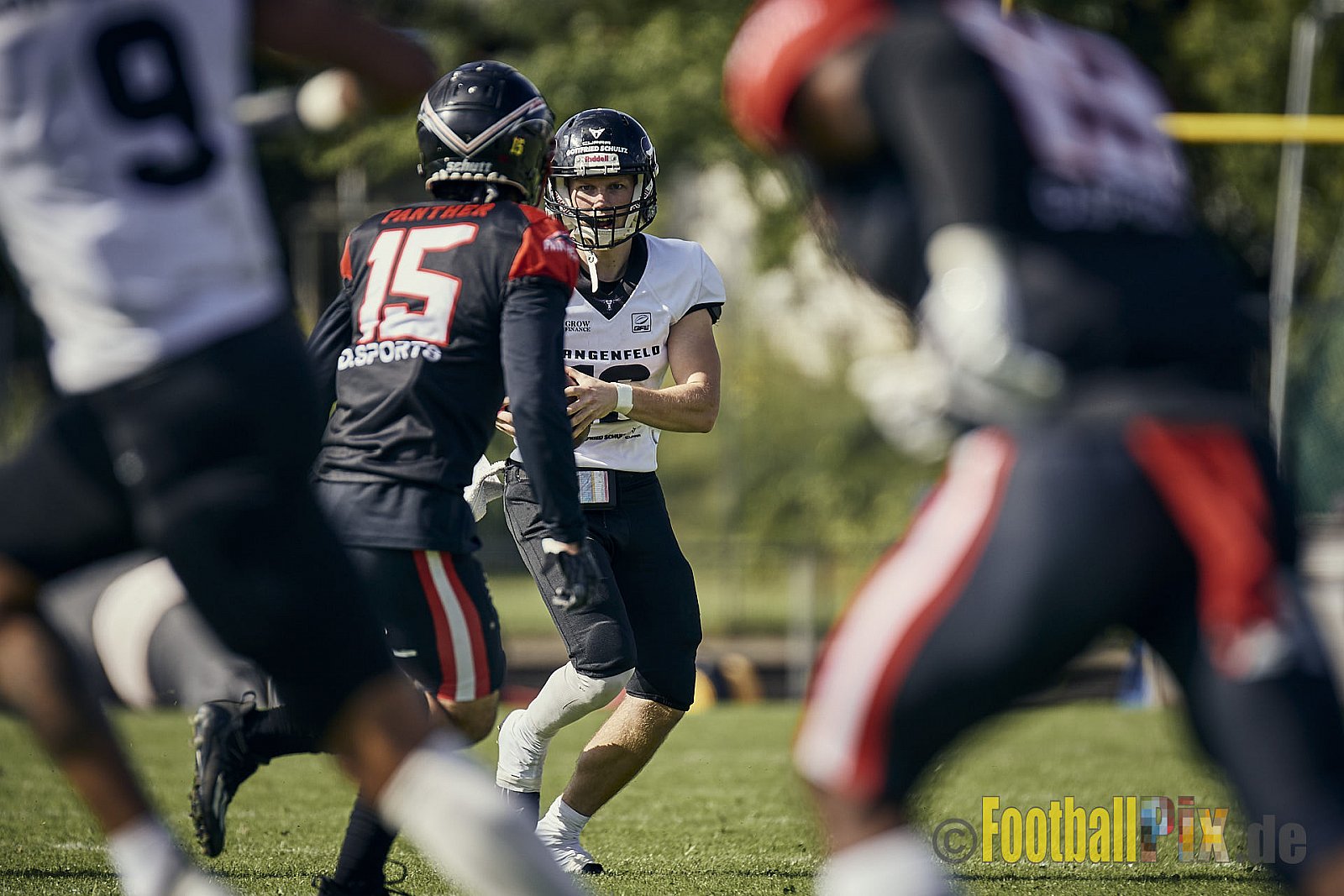 Ligaspiel der GFL2 Season 2023 Düsseldorf Panther vs. Langenfeld Longhorns am 26.08.2023 im Stadion VfL Benrath, Karl-Hohmann-Straße 70, 40597 Düsseldorf. Punkte Endstand 14 : 6 (7:0/7:0/0:0/0:6). 
Bildnummer: 2023-08-26_0184 - DPantherVsLangenfeldLonghorns
