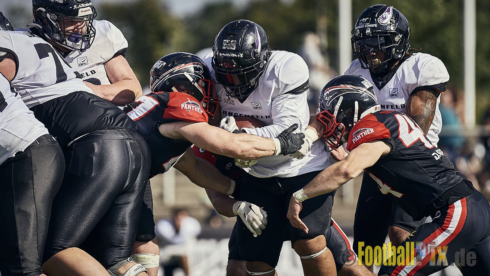 Ligaspiel der GFL2 Season 2023 Düsseldorf Panther vs. Langenfeld Longhorns am 26.08.2023 im Stadion VfL Benrath, Karl-Hohmann-Straße 70, 40597 Düsseldorf. Punkte Endstand 14 : 6 (7:0/7:0/0:0/0:6). 
Bildnummer: 2023-08-26_0216 - DPantherVsLangenfeldLonghorns