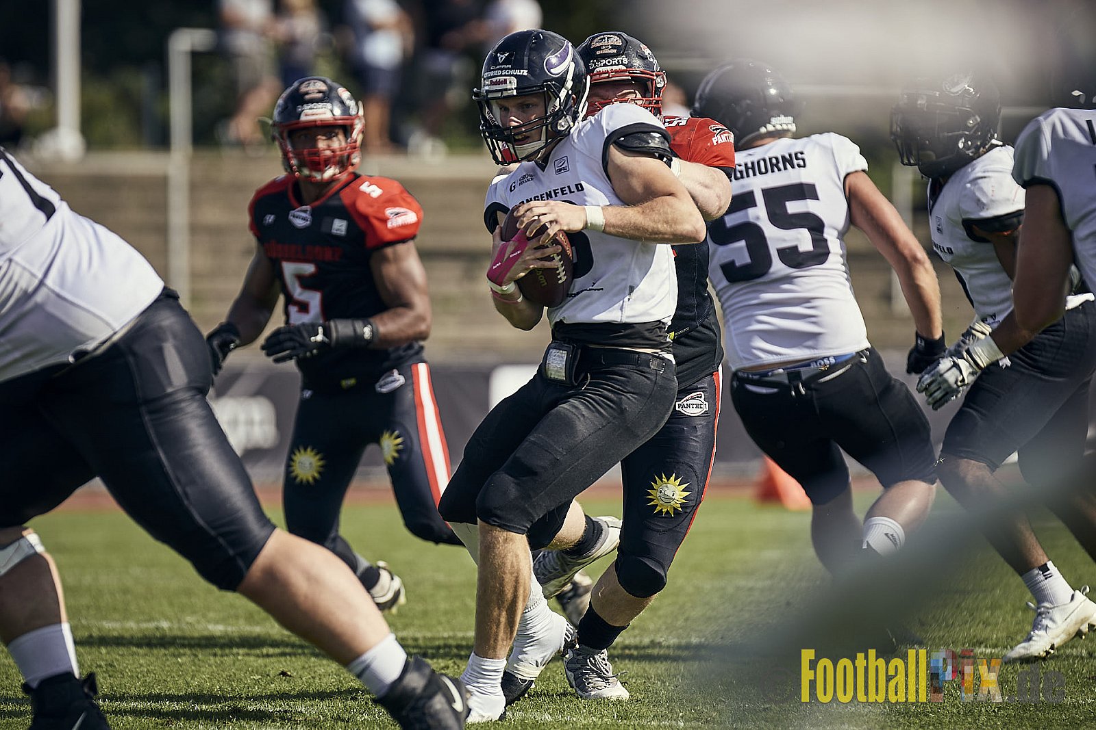 Ligaspiel der GFL2 Season 2023 Düsseldorf Panther vs. Langenfeld Longhorns am 26.08.2023 im Stadion VfL Benrath, Karl-Hohmann-Straße 70, 40597 Düsseldorf. Punkte Endstand 14 : 6 (7:0/7:0/0:0/0:6). 
Bildnummer: 2023-08-26_0224 - DPantherVsLangenfeldLonghorns