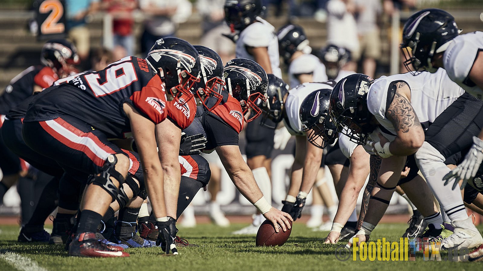 Ligaspiel der GFL2 Season 2023 Düsseldorf Panther vs. Langenfeld Longhorns am 26.08.2023 im Stadion VfL Benrath, Karl-Hohmann-Straße 70, 40597 Düsseldorf. Punkte Endstand 14 : 6 (7:0/7:0/0:0/0:6). 
Bildnummer: 2023-08-26_0239 - DPantherVsLangenfeldLonghorns
