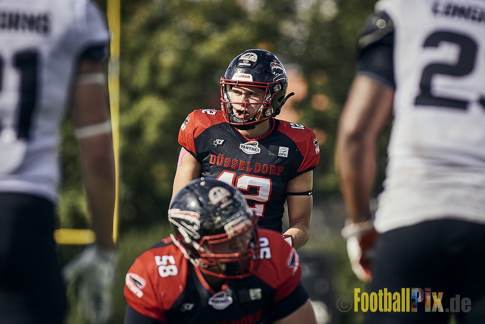 Ligaspiel der GFL2 Season 2023 Düsseldorf Panther vs. Langenfeld Longhorns am 26.08.2023 im Stadion VfL Benrath, Karl-Hohmann-Straße 70, 40597 Düsseldorf. Punkte Endstand 14 : 6 (7:0/7:0/0:0/0:6). 
Bildnummer: 2023-08-26_0281 - DPantherVsLangenfeldLonghorns