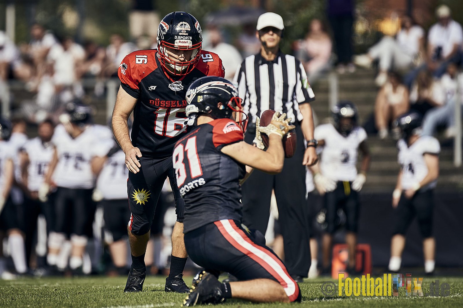 Ligaspiel der GFL2 Season 2023 Düsseldorf Panther vs. Langenfeld Longhorns am 26.08.2023 im Stadion VfL Benrath, Karl-Hohmann-Straße 70, 40597 Düsseldorf. Punkte Endstand 14 : 6 (7:0/7:0/0:0/0:6). 
Bildnummer: 2023-08-26_0298 - DPantherVsLangenfeldLonghorns