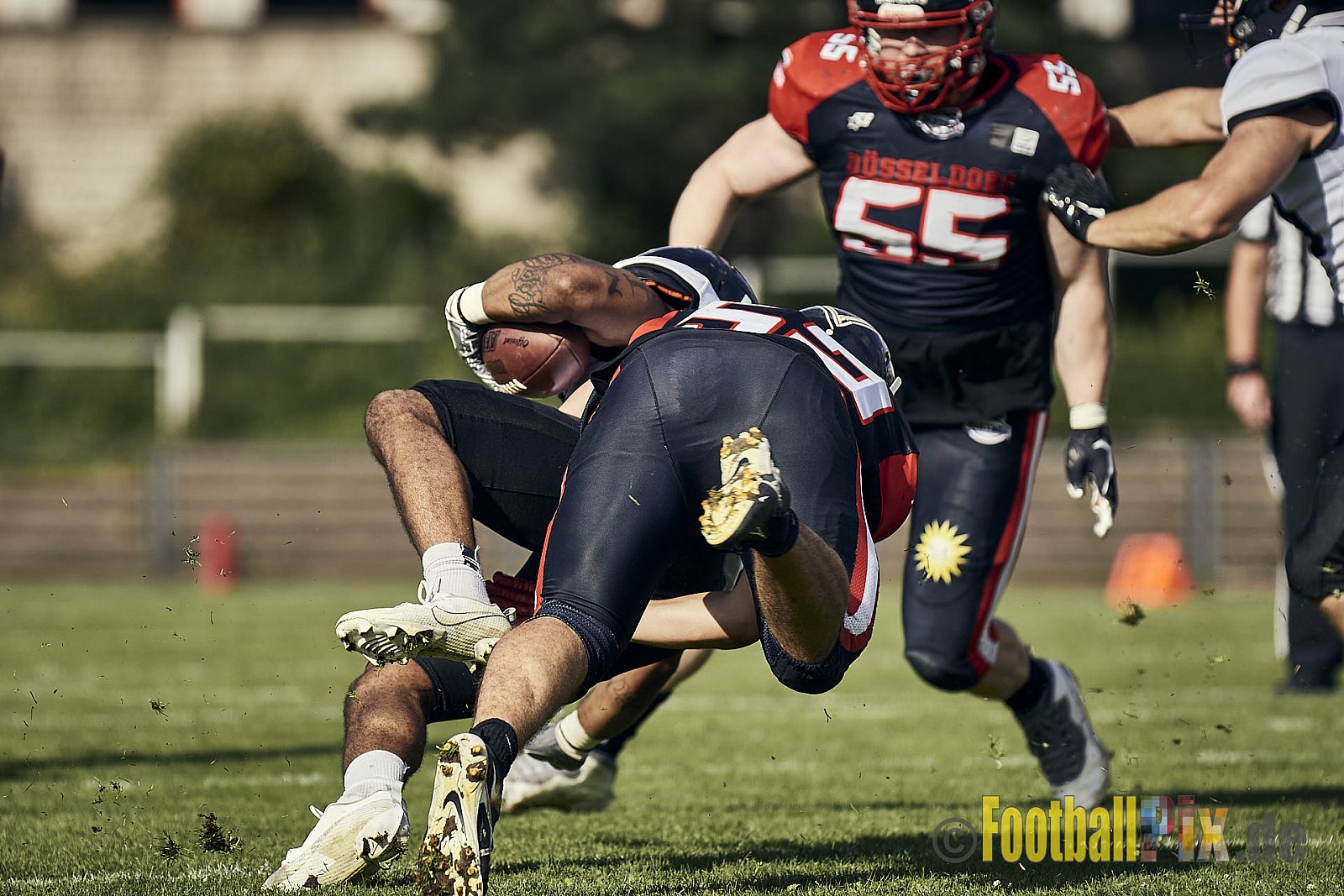 Ligaspiel der GFL2 Season 2023 Düsseldorf Panther vs. Langenfeld Longhorns am 26.08.2023 im Stadion VfL Benrath, Karl-Hohmann-Straße 70, 40597 Düsseldorf. Punkte Endstand 14 : 6 (7:0/7:0/0:0/0:6). 
Bildnummer: 2023-08-26_0309 - DPantherVsLangenfeldLonghorns