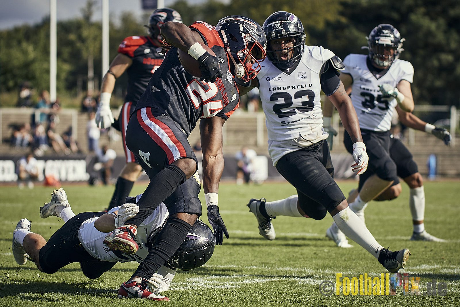 Ligaspiel der GFL2 Season 2023 Düsseldorf Panther vs. Langenfeld Longhorns am 26.08.2023 im Stadion VfL Benrath, Karl-Hohmann-Straße 70, 40597 Düsseldorf. Punkte Endstand 14 : 6 (7:0/7:0/0:0/0:6). 
Bildnummer: 2023-08-26_0318 - DPantherVsLangenfeldLonghorns