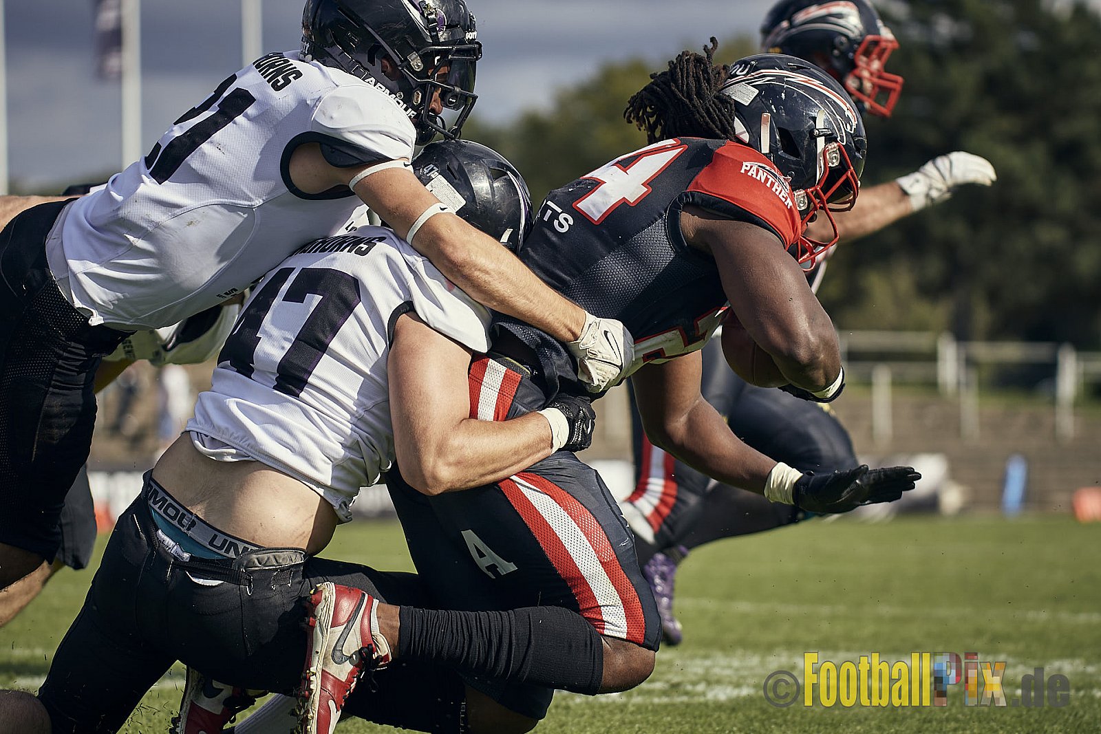Ligaspiel der GFL2 Season 2023 Düsseldorf Panther vs. Langenfeld Longhorns am 26.08.2023 im Stadion VfL Benrath, Karl-Hohmann-Straße 70, 40597 Düsseldorf. Punkte Endstand 14 : 6 (7:0/7:0/0:0/0:6). 
Bildnummer: 2023-08-26_0398 - DPantherVsLangenfeldLonghorns