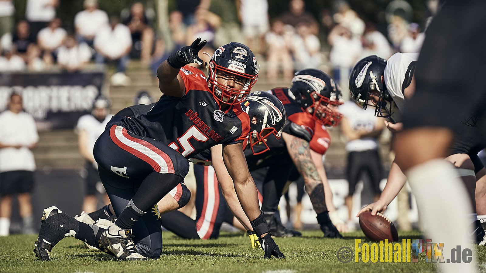 Ligaspiel der GFL2 Season 2023 Düsseldorf Panther vs. Langenfeld Longhorns am 26.08.2023 im Stadion VfL Benrath, Karl-Hohmann-Straße 70, 40597 Düsseldorf. Punkte Endstand 14 : 6 (7:0/7:0/0:0/0:6). 
Bildnummer: 2023-08-26_0412 - DPantherVsLangenfeldLonghorns