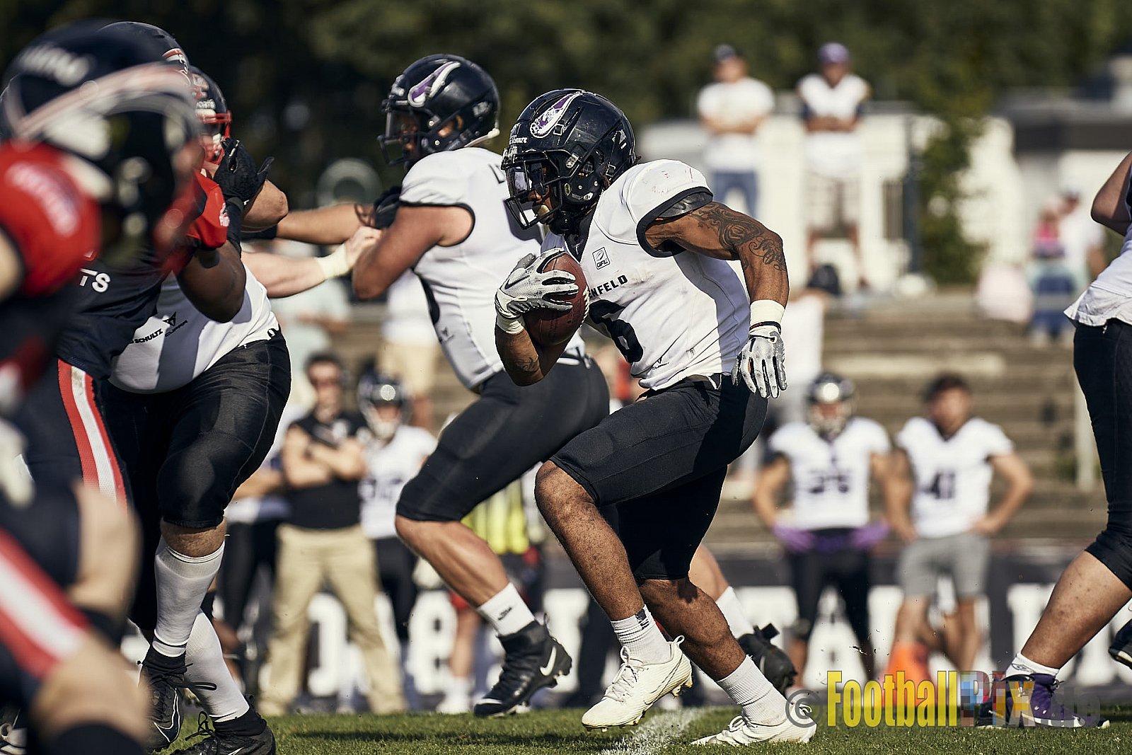 Ligaspiel der GFL2 Season 2023 Düsseldorf Panther vs. Langenfeld Longhorns am 26.08.2023 im Stadion VfL Benrath, Karl-Hohmann-Straße 70, 40597 Düsseldorf. Punkte Endstand 14 : 6 (7:0/7:0/0:0/0:6). 
Bildnummer: 2023-08-26_0416 - DPantherVsLangenfeldLonghorns