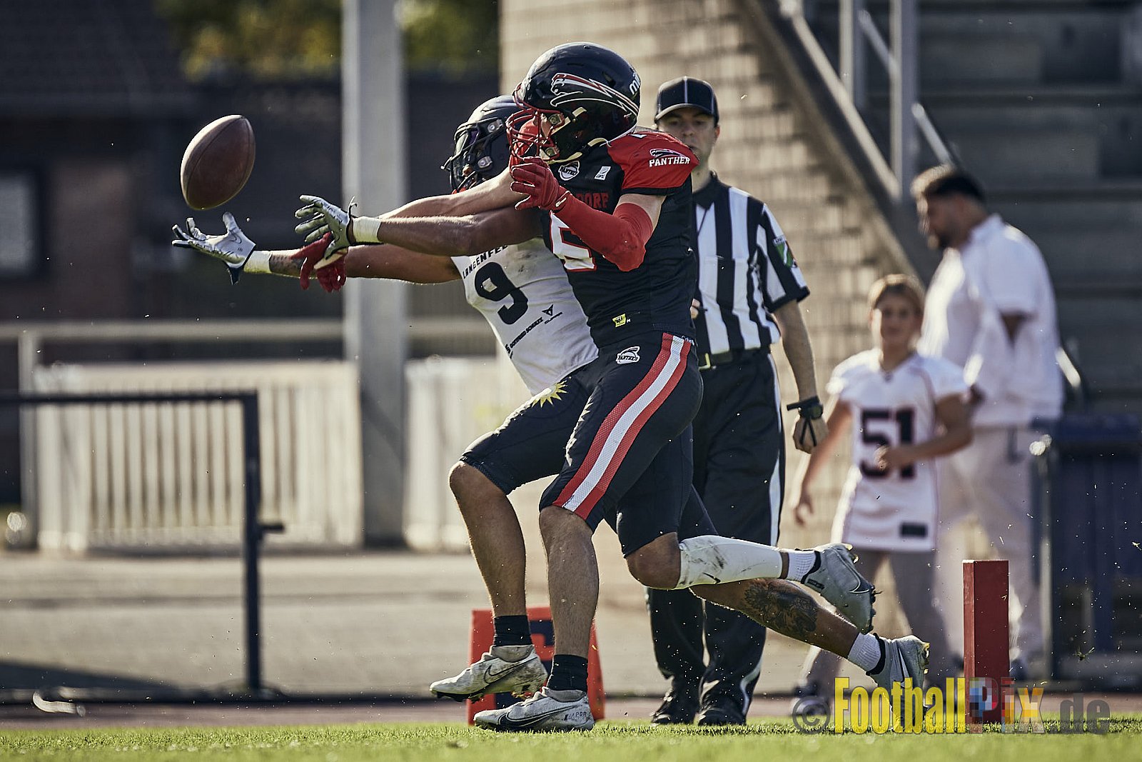 Ligaspiel der GFL2 Season 2023 Düsseldorf Panther vs. Langenfeld Longhorns am 26.08.2023 im Stadion VfL Benrath, Karl-Hohmann-Straße 70, 40597 Düsseldorf. Punkte Endstand 14 : 6 (7:0/7:0/0:0/0:6). 
Bildnummer: 2023-08-26_0476 - DPantherVsLangenfeldLonghorns