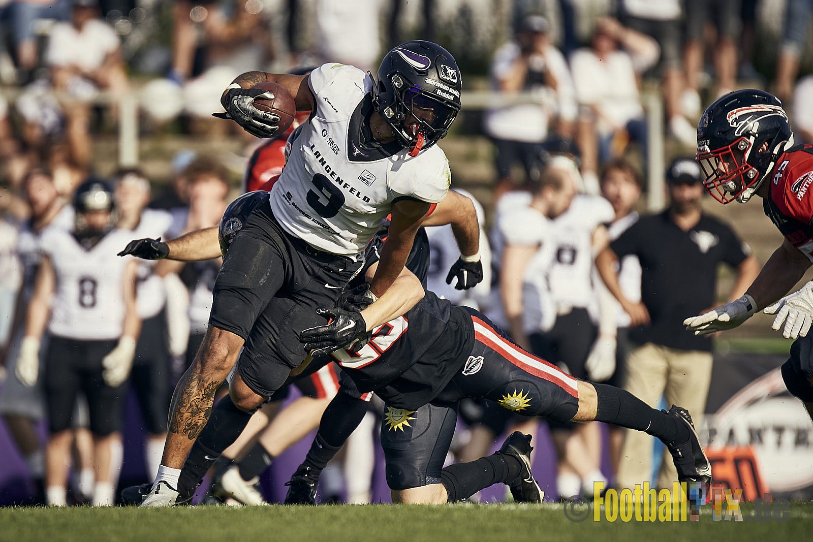 Ligaspiel der GFL2 Season 2023 Düsseldorf Panther vs. Langenfeld Longhorns am 26.08.2023 im Stadion VfL Benrath, Karl-Hohmann-Straße 70, 40597 Düsseldorf. Punkte Endstand 14 : 6 (7:0/7:0/0:0/0:6). 
Bildnummer: 2023-08-26_0531 - DPantherVsLangenfeldLonghorns