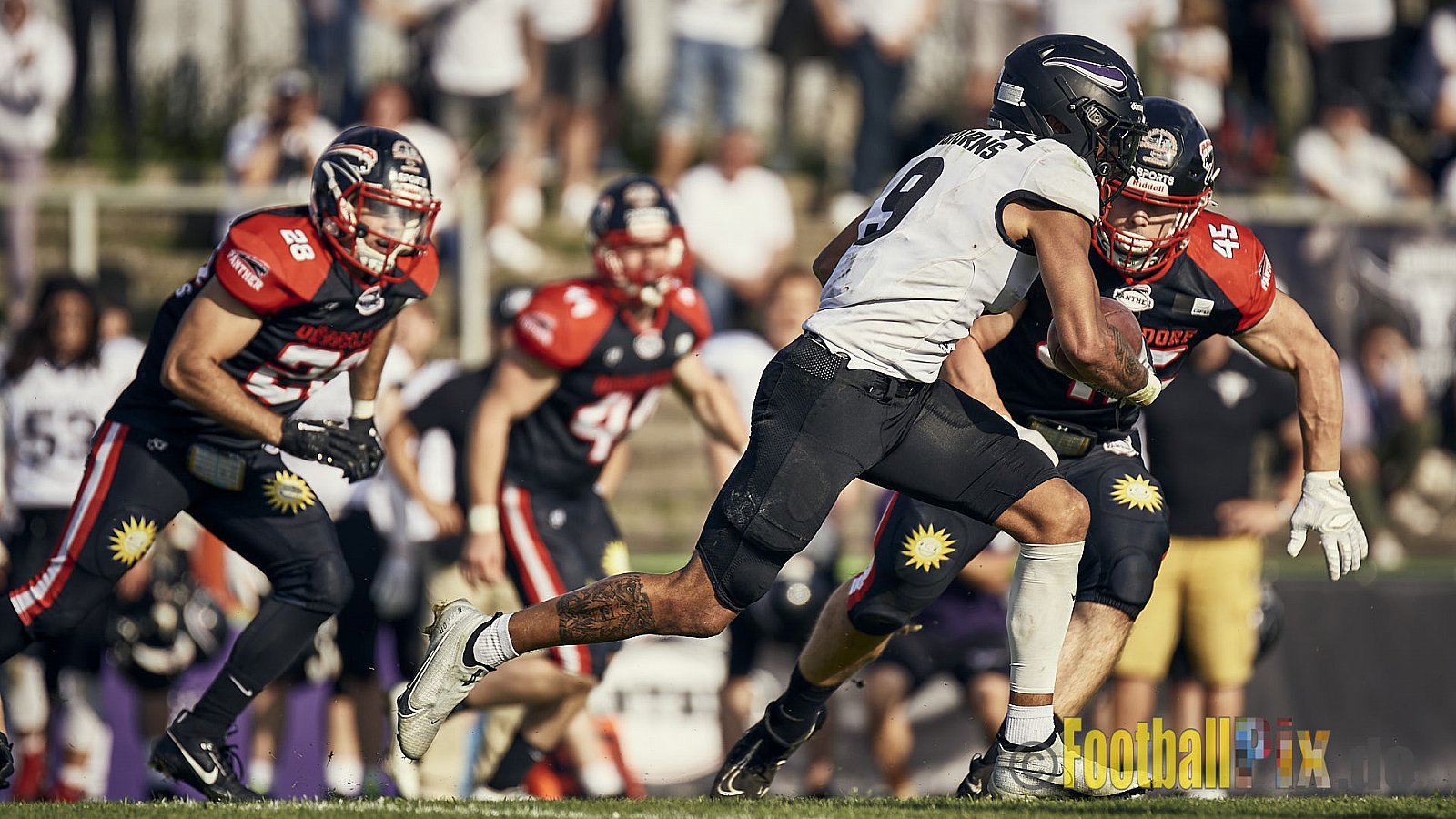 Ligaspiel der GFL2 Season 2023 Düsseldorf Panther vs. Langenfeld Longhorns am 26.08.2023 im Stadion VfL Benrath, Karl-Hohmann-Straße 70, 40597 Düsseldorf. Punkte Endstand 14 : 6 (7:0/7:0/0:0/0:6). 
Bildnummer: 2023-08-26_0532 - DPantherVsLangenfeldLonghorns