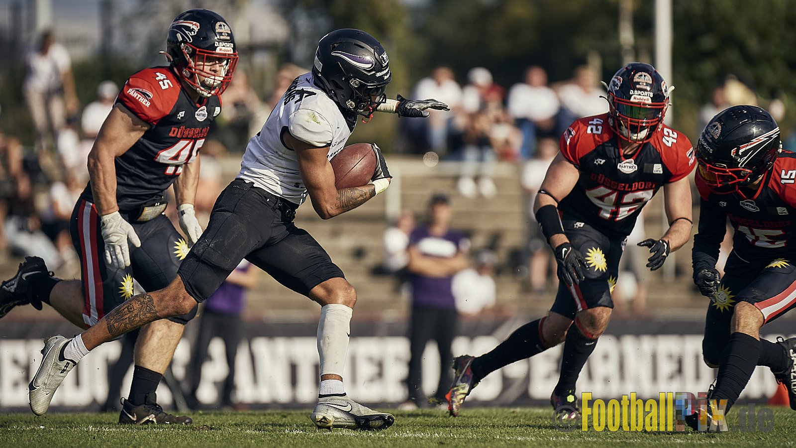 Ligaspiel der GFL2 Season 2023 Düsseldorf Panther vs. Langenfeld Longhorns am 26.08.2023 im Stadion VfL Benrath, Karl-Hohmann-Straße 70, 40597 Düsseldorf. Punkte Endstand 14 : 6 (7:0/7:0/0:0/0:6). 
Bildnummer: 2023-08-26_0535 - DPantherVsLangenfeldLonghorns