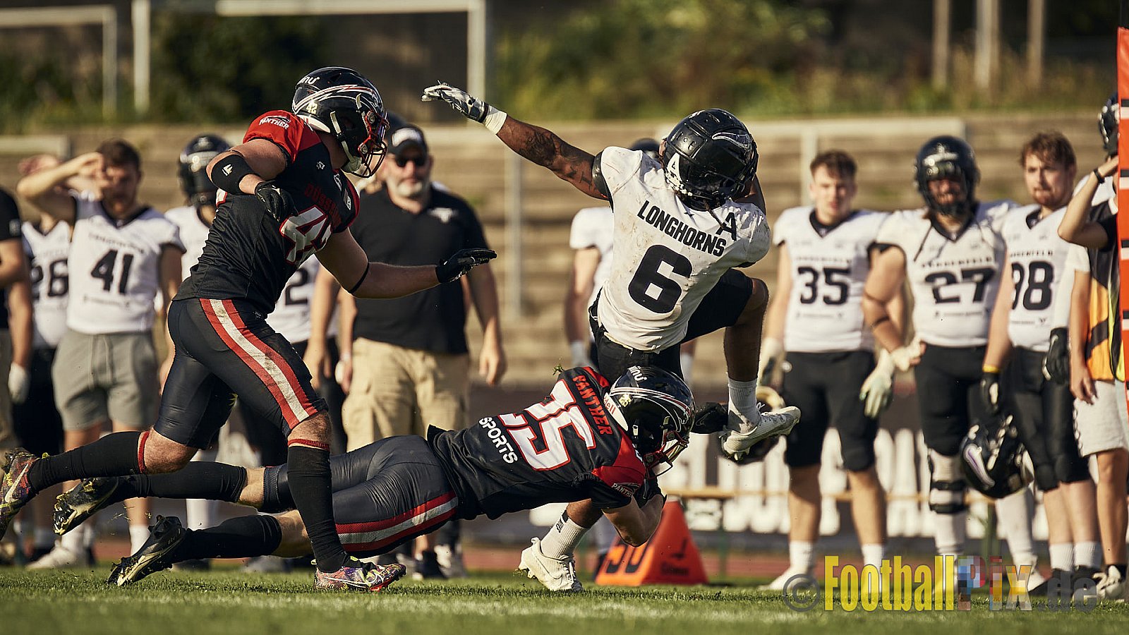 Ligaspiel der GFL2 Season 2023 Düsseldorf Panther vs. Langenfeld Longhorns am 26.08.2023 im Stadion VfL Benrath, Karl-Hohmann-Straße 70, 40597 Düsseldorf. Punkte Endstand 14 : 6 (7:0/7:0/0:0/0:6). 
Bildnummer: 2023-08-26_0543 - DPantherVsLangenfeldLonghorns
