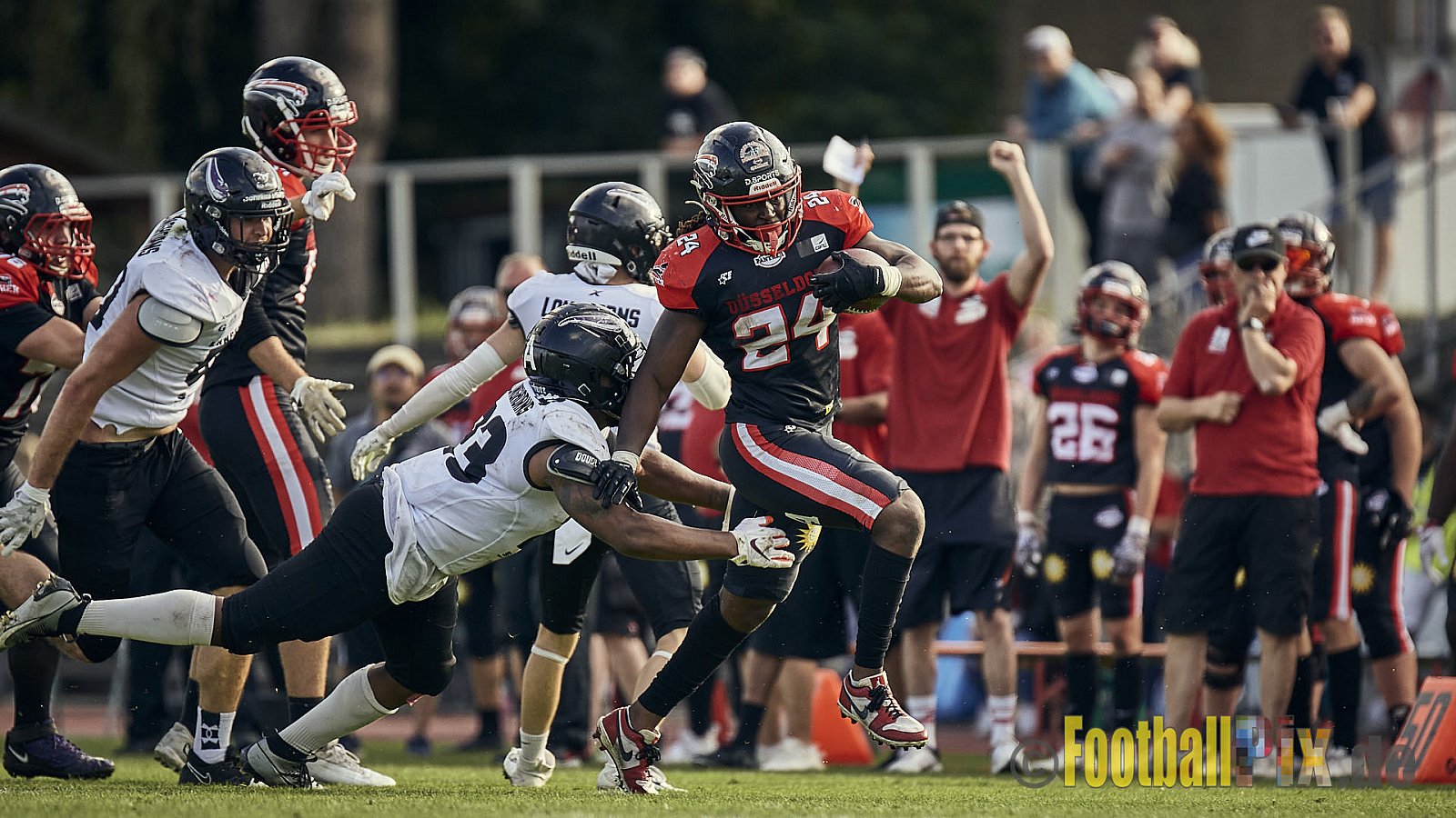 Ligaspiel der GFL2 Season 2023 Düsseldorf Panther vs. Langenfeld Longhorns am 26.08.2023 im Stadion VfL Benrath, Karl-Hohmann-Straße 70, 40597 Düsseldorf. Punkte Endstand 14 : 6 (7:0/7:0/0:0/0:6). 
Bildnummer: 2023-08-26_0562 - DPantherVsLangenfeldLonghorns