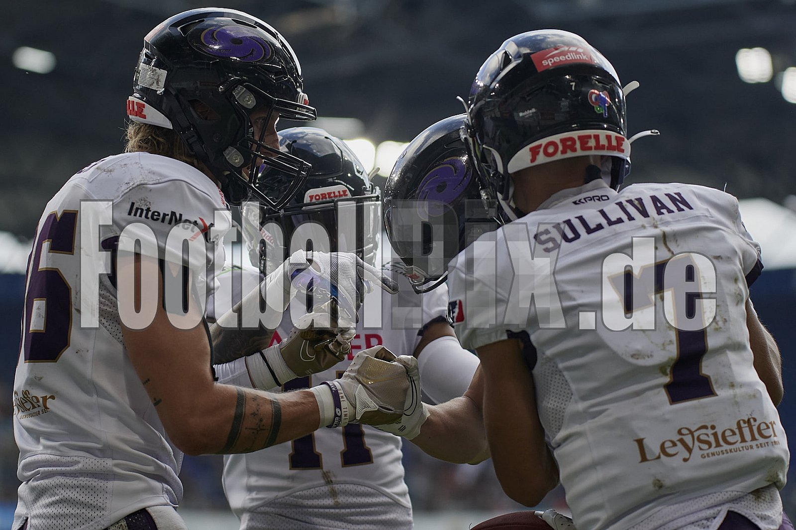 Das Halbfinale der European League of Football (ELF) Season 2023 Rhein Fire vs. Frankfurt Galaxy am 17.09.2023 im Stadion Schauinsland-Reisen-Arena, Margaretenstraße 5-7, 47055 Duisburg. Punkte Endstand 42 : 23. 
Bildnummer: 2023-09-17_0688 - FrankfurtGalaxy@RheinFire