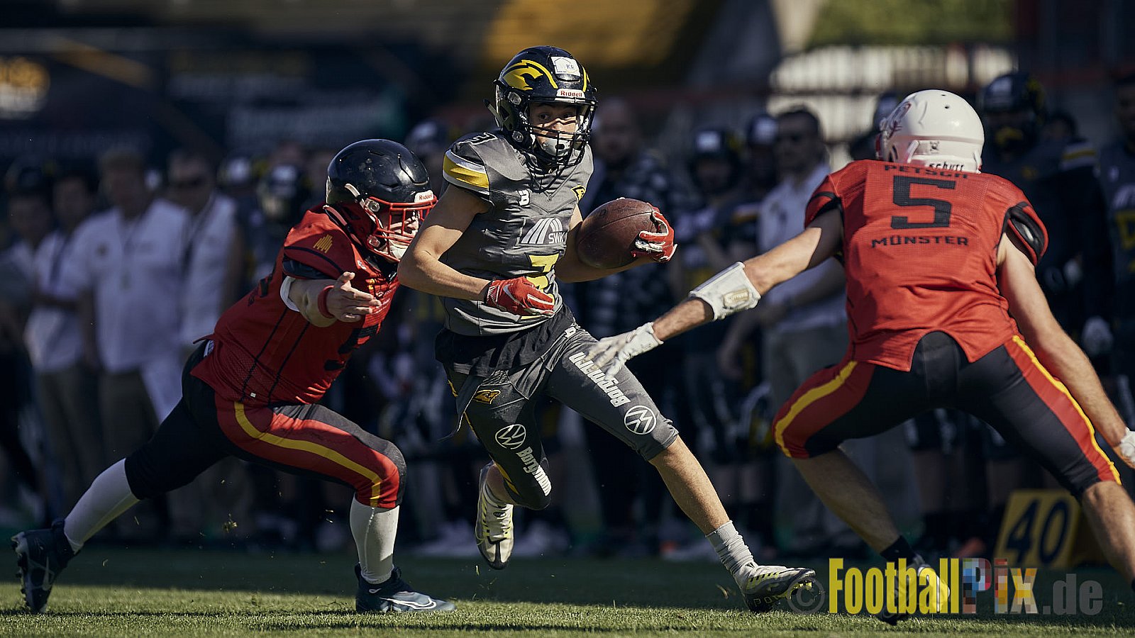 Spiel der AFCV Regionalliga NRW Season 2023 Krefeld Ravens vs. Münster Mammuts am 24.09.2023 im Stadion Grotenburgstadion, Tiergartenstraße, Bockum, Krefeld, North Rhine-Westphalia, 47800, Germany. Punkte Endstand 45 : 0. 
Bildnummer: 2023-09-24_0145 - KrefeldRavensVsMMammuts