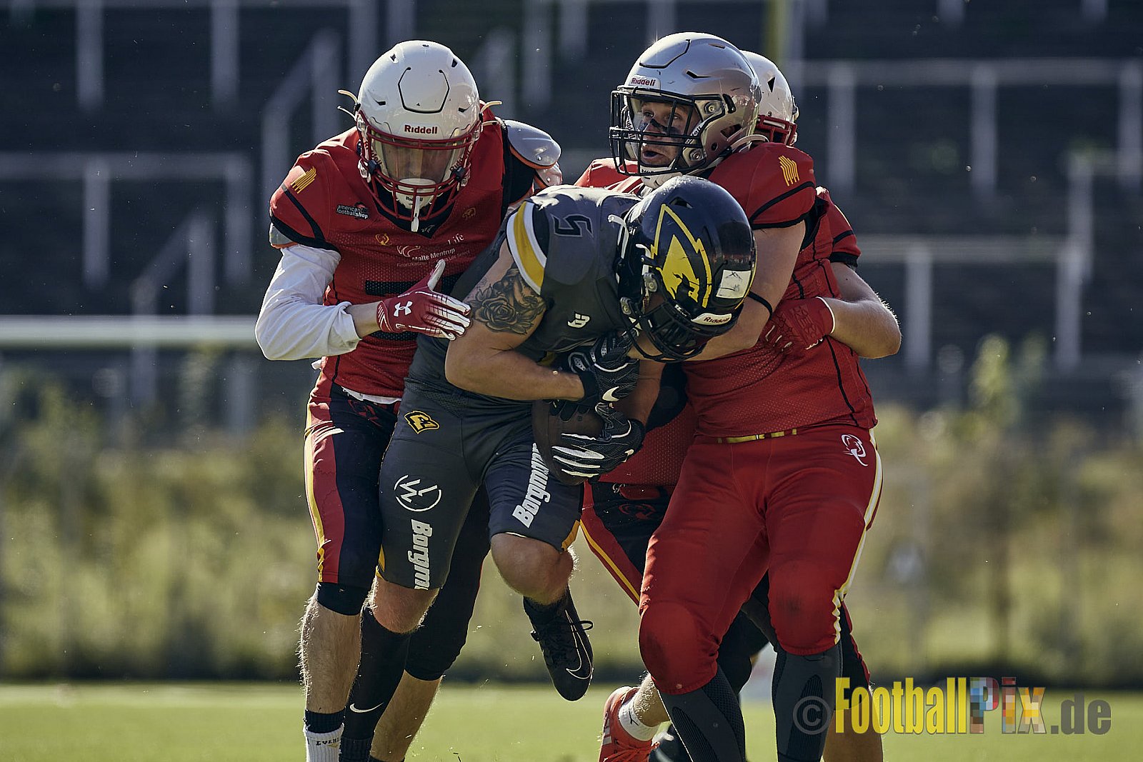 Spiel der AFCV Regionalliga NRW Season 2023 Krefeld Ravens vs. Münster Mammuts am 24.09.2023 im Stadion Grotenburgstadion, Tiergartenstraße, Bockum, Krefeld, North Rhine-Westphalia, 47800, Germany. Punkte Endstand 45 : 0. 
Bildnummer: 2023-09-24_0223 - KrefeldRavensVsMMammuts