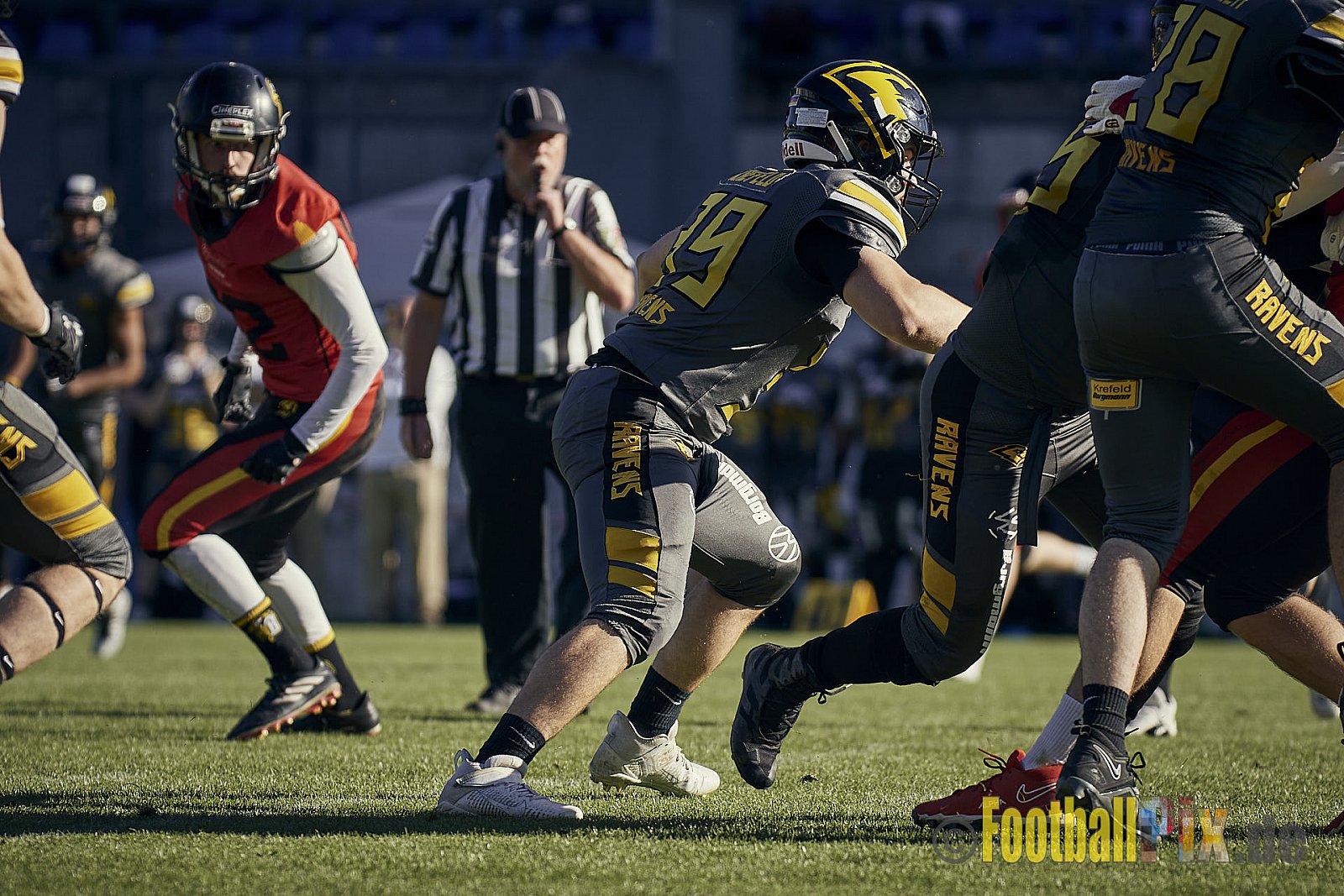 Spiel der AFCV Regionalliga NRW Season 2023 Krefeld Ravens vs. Münster Mammuts am 24.09.2023 im Stadion Grotenburgstadion, Tiergartenstraße, Bockum, Krefeld, North Rhine-Westphalia, 47800, Germany. Punkte Endstand 45 : 0. 
Bildnummer: 2023-09-24_0442 - KrefeldRavensVsMMammuts