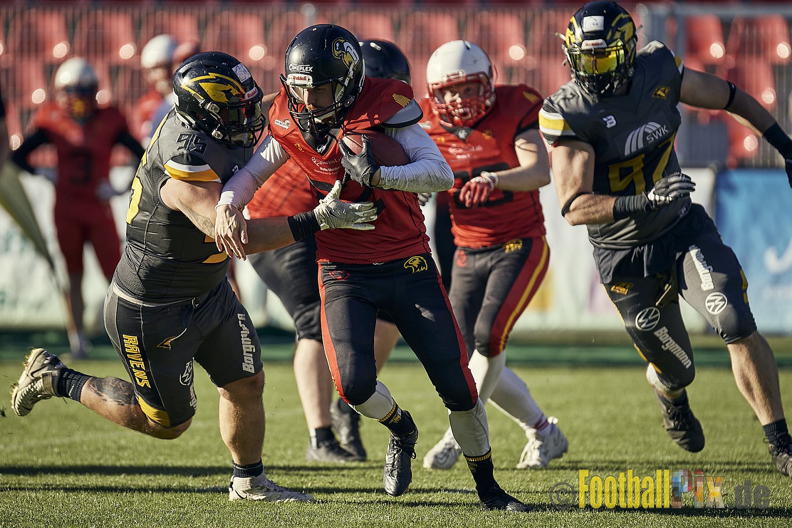 Spiel der AFCV Regionalliga NRW Season 2023 Krefeld Ravens vs. Münster Mammuts am 24.09.2023 im Stadion Grotenburgstadion, Tiergartenstraße, Bockum, Krefeld, North Rhine-Westphalia, 47800, Germany. Punkte Endstand 45 : 0. 
Bildnummer: 2023-09-24_0726 - KrefeldRavensVsMMammuts