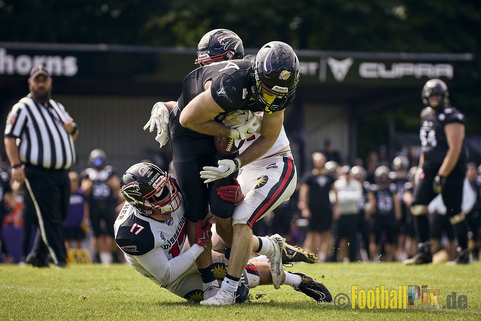 GFL2 Season 2024 Langenfeld Longhorns vs. Düsseldorf Panther am 25.05.2024 im Jahnstadion Langenfeld, Jahnstraße 4, 40764 Langenfeld (Rheinland). Punkte Endstand 16 : 07.
[Bildnummer: 2024-05-25_0126] - LangenfeldLonghornsVsDdorfPanther