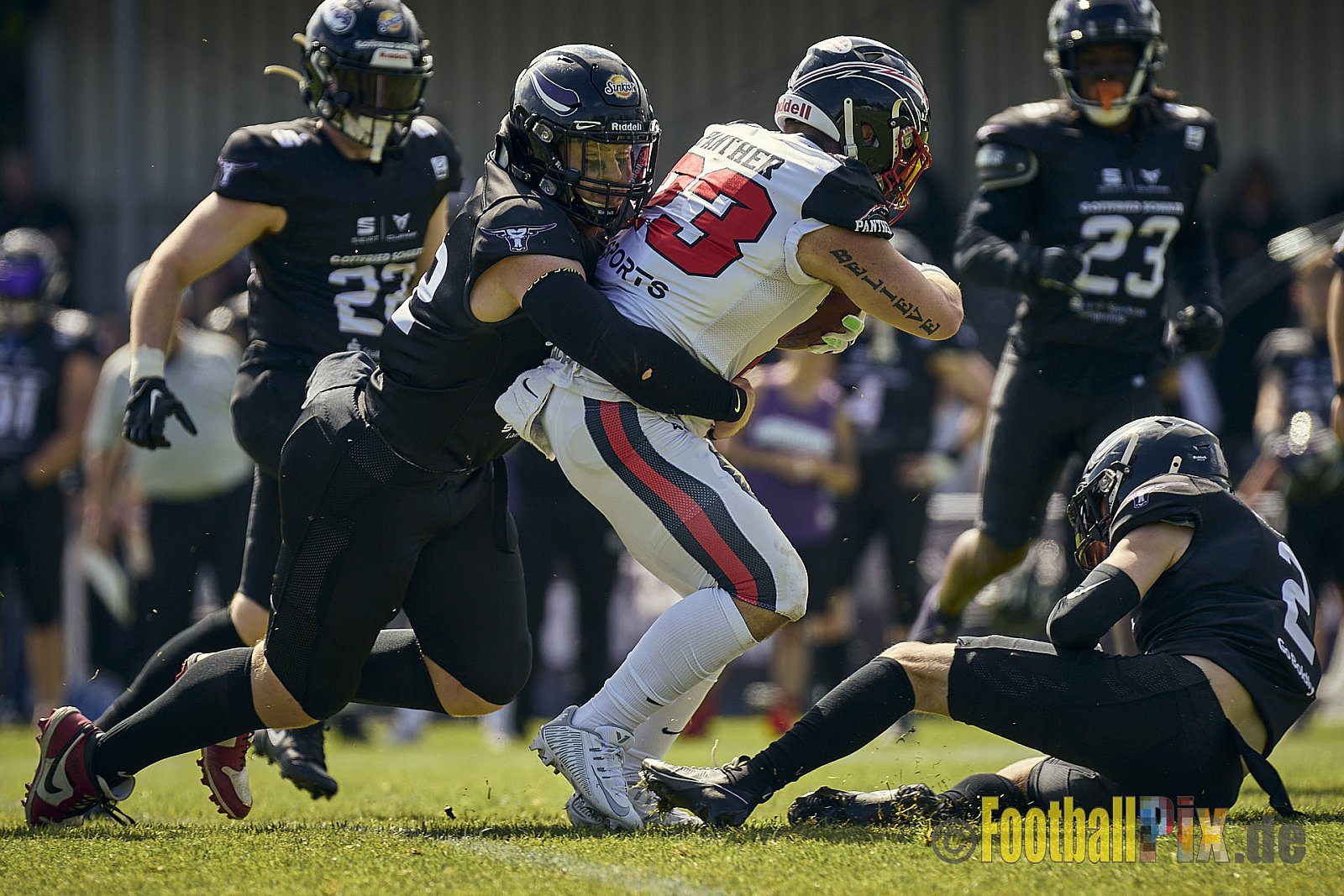 GFL2 Season 2024 Langenfeld Longhorns vs. Düsseldorf Panther am 25.05.2024 im Jahnstadion Langenfeld, Jahnstraße 4, 40764 Langenfeld (Rheinland). Punkte Endstand 16 : 07.
[Bildnummer: 2024-05-25_0160] - LangenfeldLonghornsVsDdorfPanther
