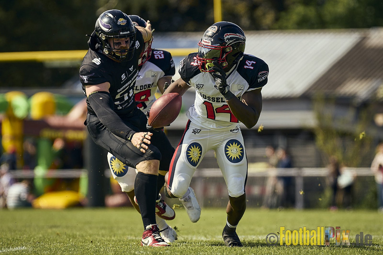 GFL2 Season 2024 Langenfeld Longhorns vs. Düsseldorf Panther am 25.05.2024 im Jahnstadion Langenfeld, Jahnstraße 4, 40764 Langenfeld (Rheinland). Punkte Endstand 16 : 07.
[Bildnummer: 2024-05-25_0210] - LangenfeldLonghornsVsDdorfPanther