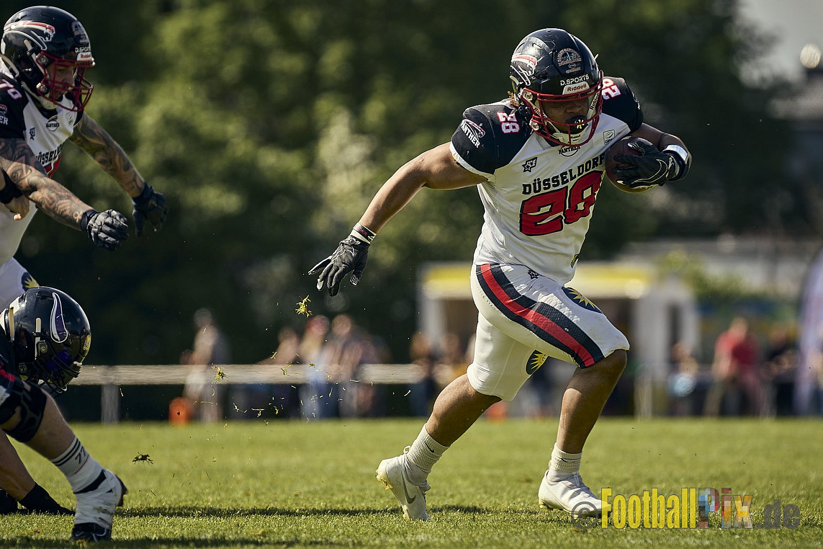 GFL2 Season 2024 Langenfeld Longhorns vs. Düsseldorf Panther am 25.05.2024 im Jahnstadion Langenfeld, Jahnstraße 4, 40764 Langenfeld (Rheinland). Punkte Endstand 16 : 07.
[Bildnummer: 2024-05-25_0255] - LangenfeldLonghornsVsDdorfPanther