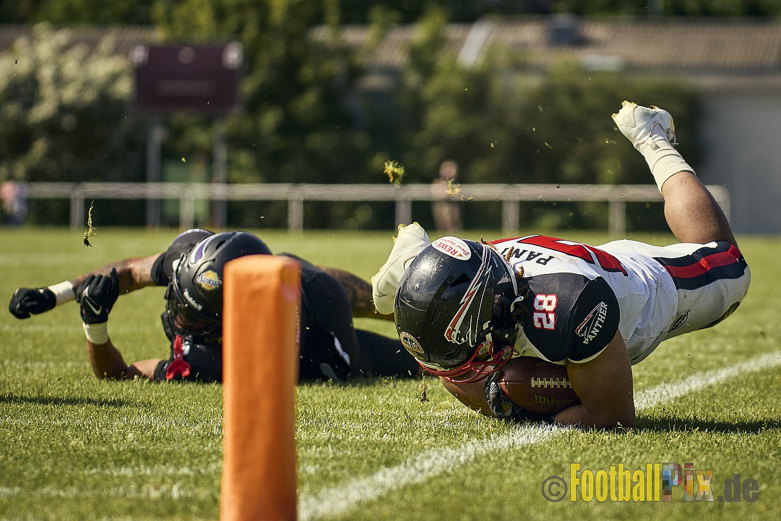 GFL2 Season 2024 Langenfeld Longhorns vs. Düsseldorf Panther am 25.05.2024 im Jahnstadion Langenfeld, Jahnstraße 4, 40764 Langenfeld (Rheinland). Punkte Endstand 16 : 07.
[Bildnummer: 2024-05-25_0272] - LangenfeldLonghornsVsDdorfPanther