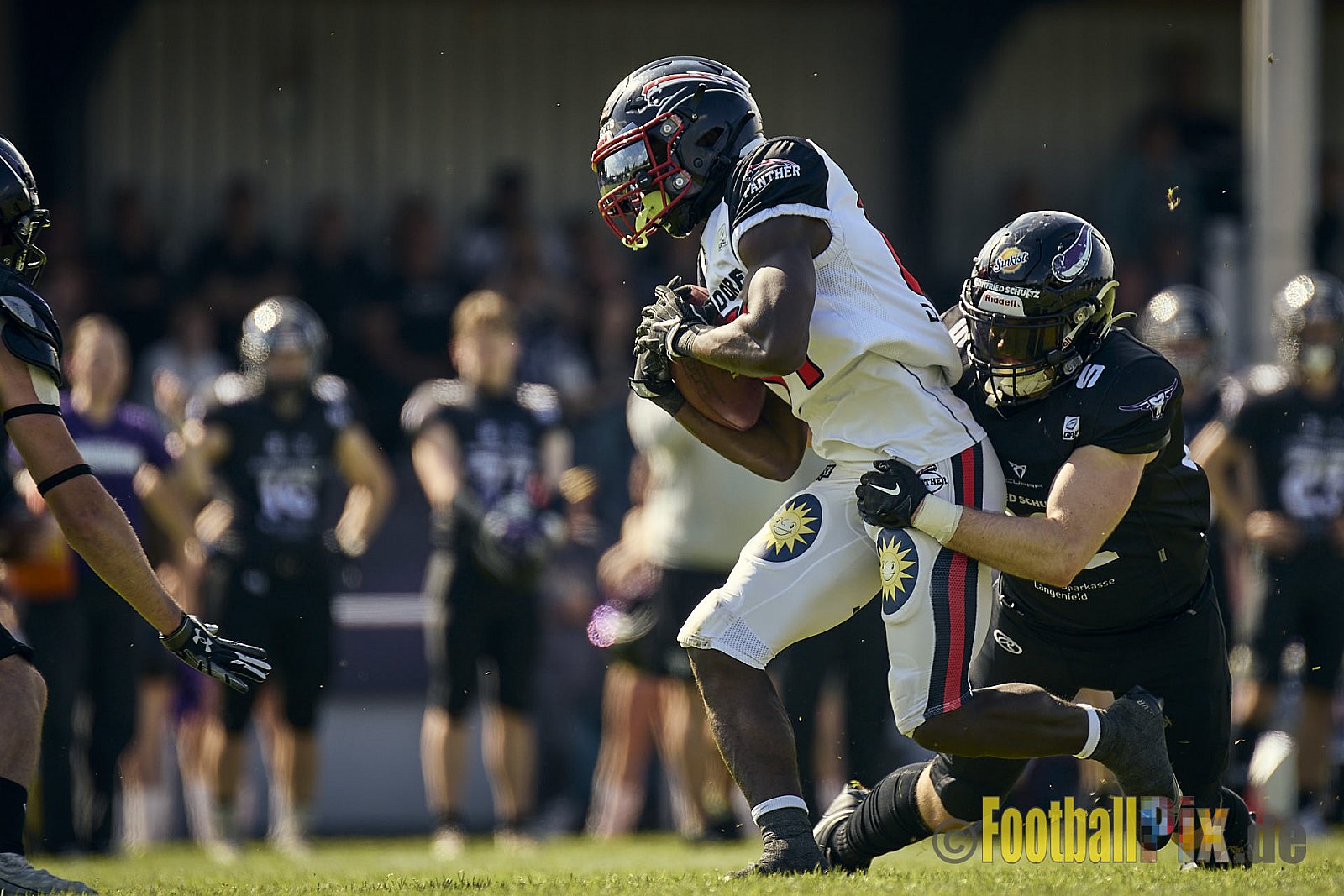 GFL2 Season 2024 Langenfeld Longhorns vs. Düsseldorf Panther am 25.05.2024 im Jahnstadion Langenfeld, Jahnstraße 4, 40764 Langenfeld (Rheinland). Punkte Endstand 16 : 07.
[Bildnummer: 2024-05-25_0280] - LangenfeldLonghornsVsDdorfPanther