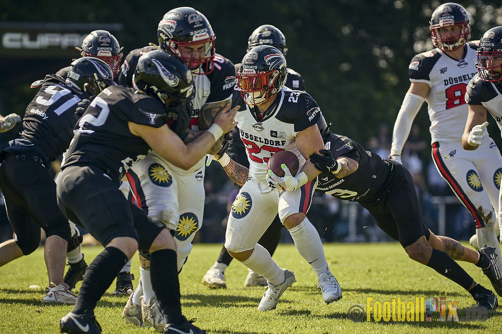 GFL2 Season 2024 Langenfeld Longhorns vs. Düsseldorf Panther am 25.05.2024 im Jahnstadion Langenfeld, Jahnstraße 4, 40764 Langenfeld (Rheinland). Punkte Endstand 16 : 07.
[Bildnummer: 2024-05-25_0335] - LangenfeldLonghornsVsDdorfPanther