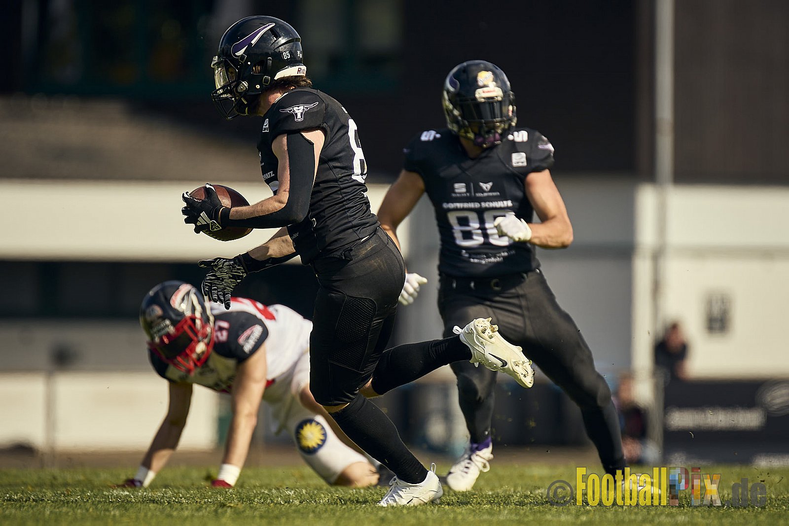 GFL2 Season 2024 Langenfeld Longhorns vs. Düsseldorf Panther am 25.05.2024 im Jahnstadion Langenfeld, Jahnstraße 4, 40764 Langenfeld (Rheinland). Punkte Endstand 16 : 07.
[Bildnummer: 2024-05-25_0435] - LangenfeldLonghornsVsDdorfPanther