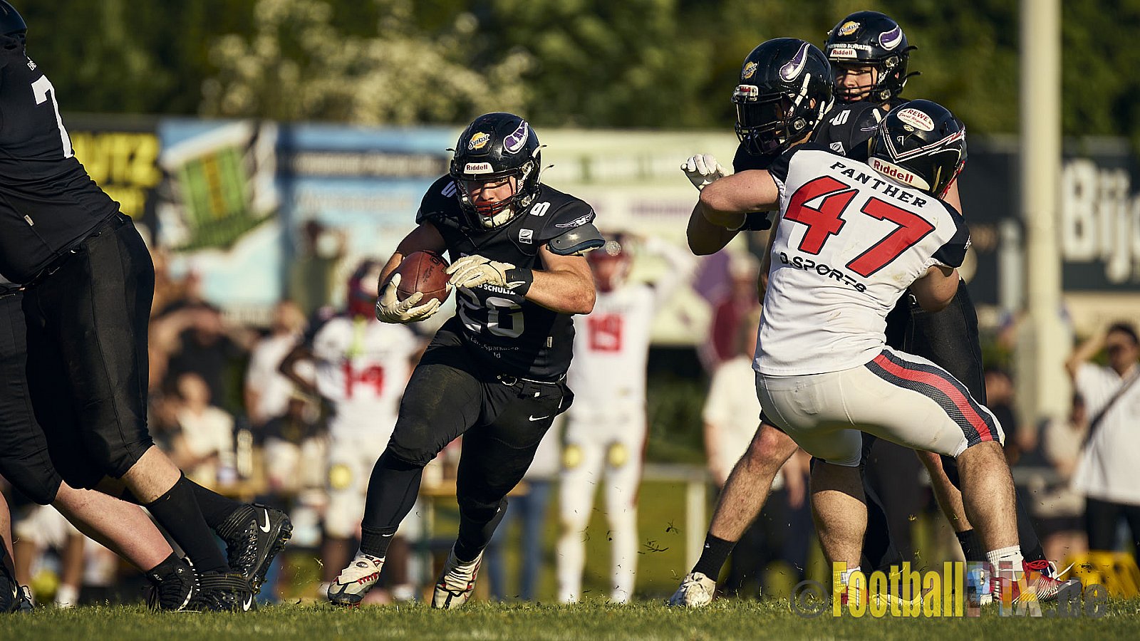 GFL2 Season 2024 Langenfeld Longhorns vs. Düsseldorf Panther am 25.05.2024 im Jahnstadion Langenfeld, Jahnstraße 4, 40764 Langenfeld (Rheinland). Punkte Endstand 16 : 07.
[Bildnummer: 2024-05-25_0627] - LangenfeldLonghornsVsDdorfPanther
