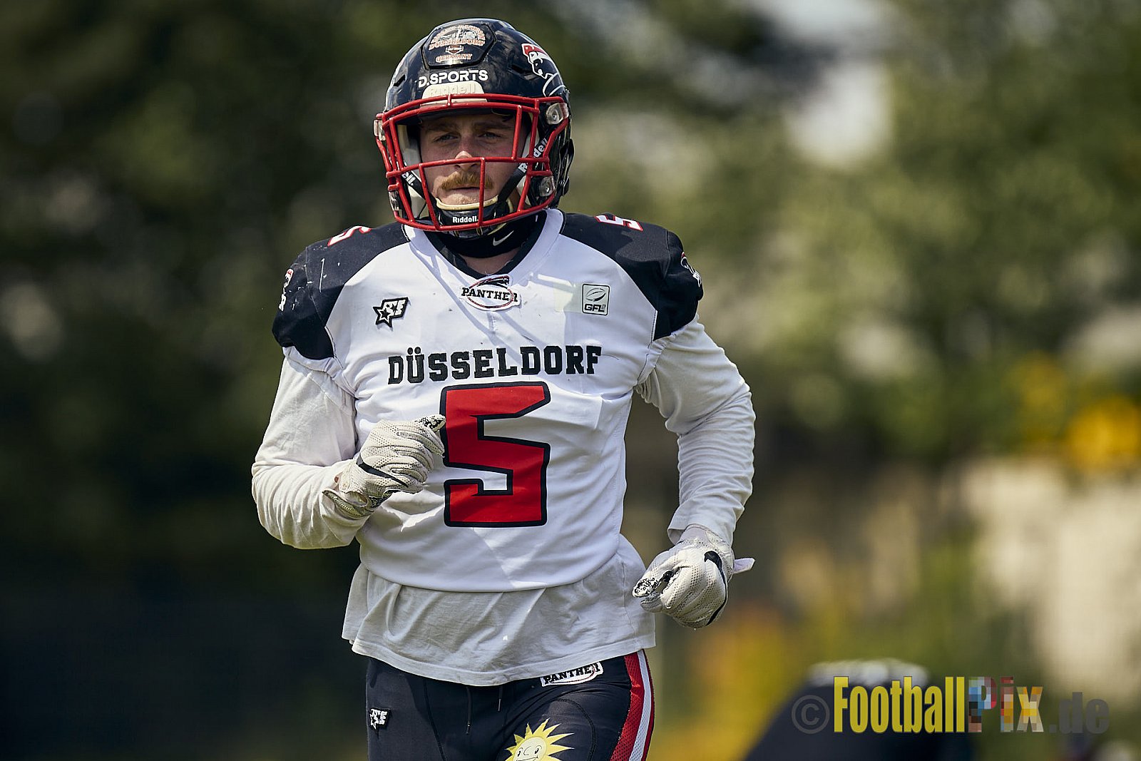 GFL2 Season 2024 Düsseldorf Panther vs. Bielefeld Bulldogs am 09.06.2024 im Bezirks Sportanlage Benrath, Nürnberger Straße, Benrath, Stadtbezirk 9, Dusseldorf, North Rhine – Westphalia, 40599, Germany. Punkte Endstand 30 : 0. - DPantherVsBielefeldBulldogs