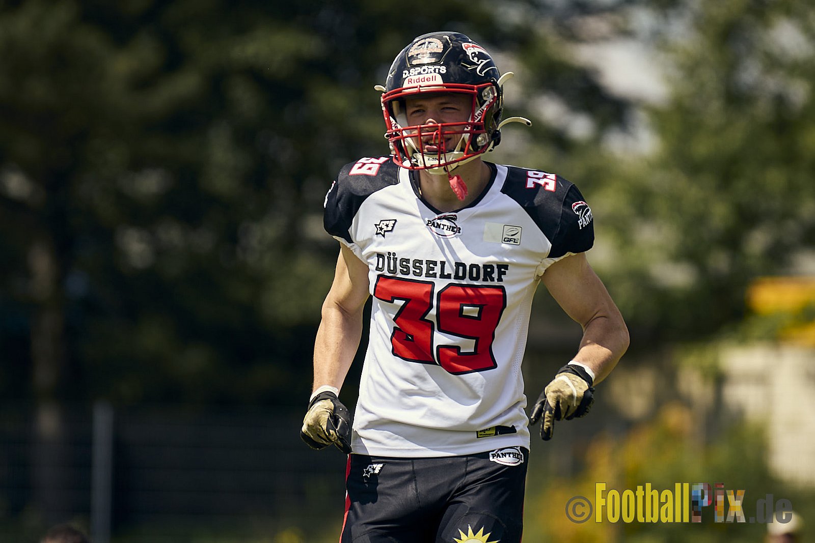 GFL2 Season 2024 Düsseldorf Panther vs. Bielefeld Bulldogs am 09.06.2024 im Bezirks Sportanlage Benrath, Nürnberger Straße, Benrath, Stadtbezirk 9, Dusseldorf, North Rhine – Westphalia, 40599, Germany. Punkte Endstand 30 : 0. - DPantherVsBielefeldBulldogs