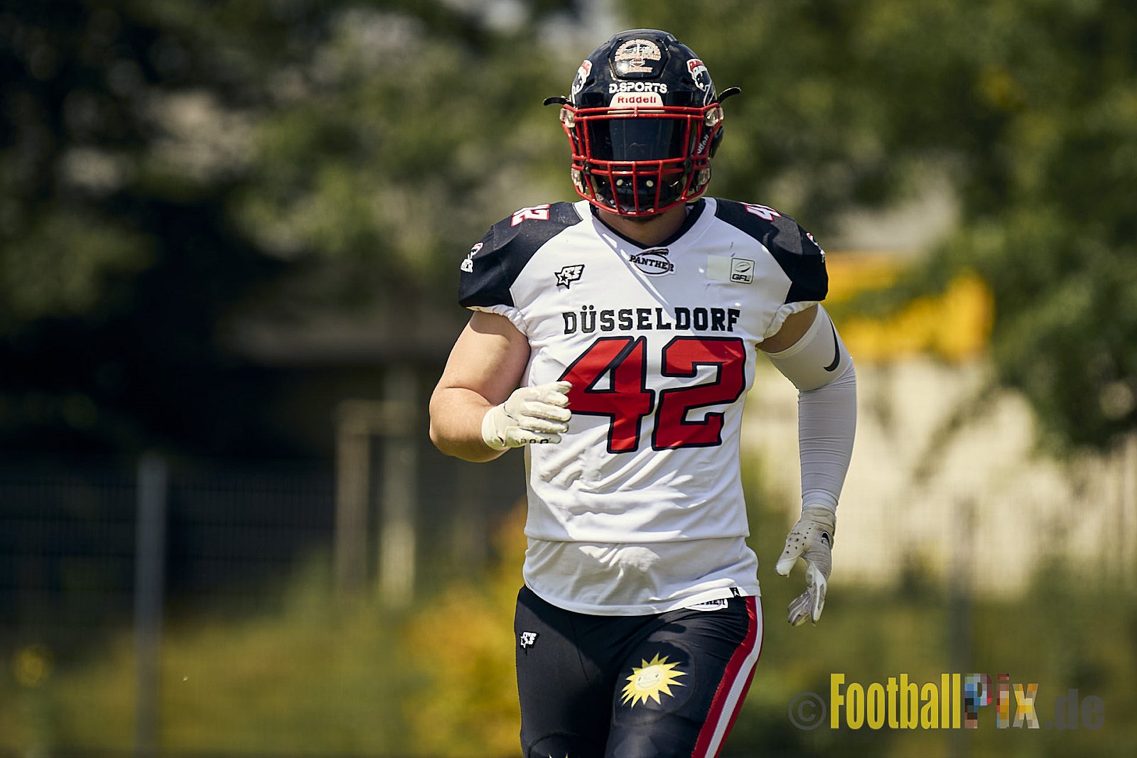 GFL2 Season 2024 Düsseldorf Panther vs. Bielefeld Bulldogs am 09.06.2024 im Bezirks Sportanlage Benrath, Nürnberger Straße, Benrath, Stadtbezirk 9, Dusseldorf, North Rhine – Westphalia, 40599, Germany. Punkte Endstand 30 : 0. - DPantherVsBielefeldBulldogs