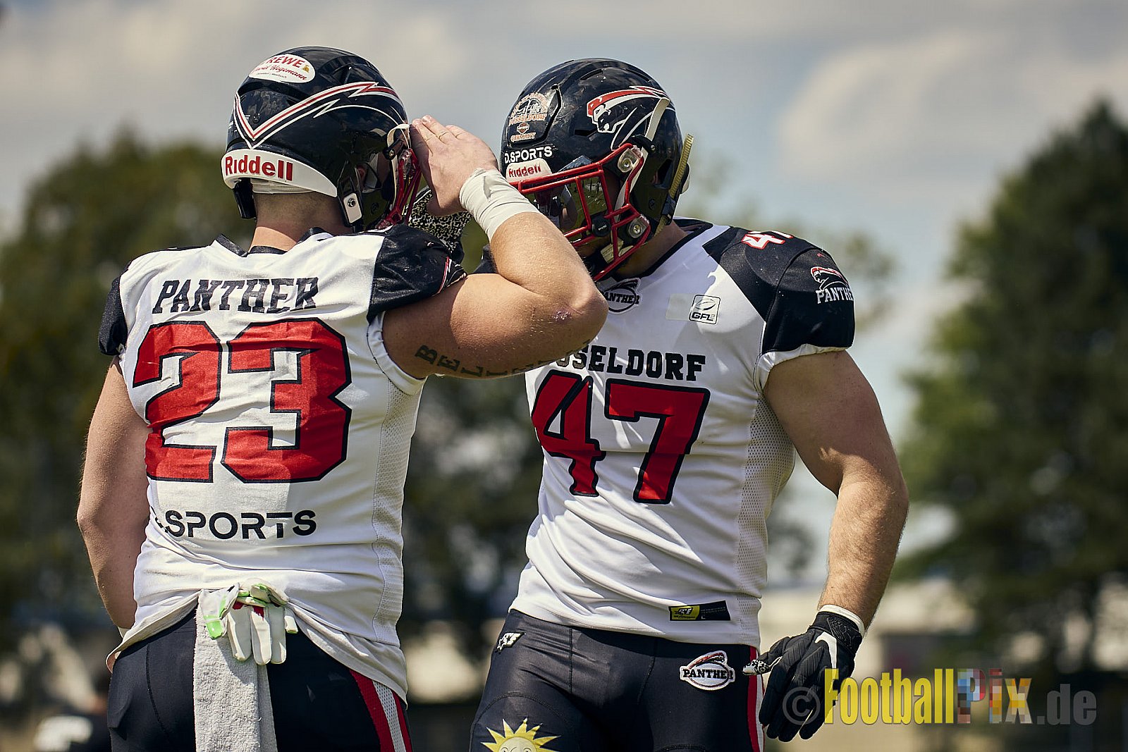 GFL2 Season 2024 Düsseldorf Panther vs. Bielefeld Bulldogs am 09.06.2024 im Bezirks Sportanlage Benrath, Nürnberger Straße, Benrath, Stadtbezirk 9, Dusseldorf, North Rhine – Westphalia, 40599, Germany. Punkte Endstand 30 : 0. - DPantherVsBielefeldBulldogs