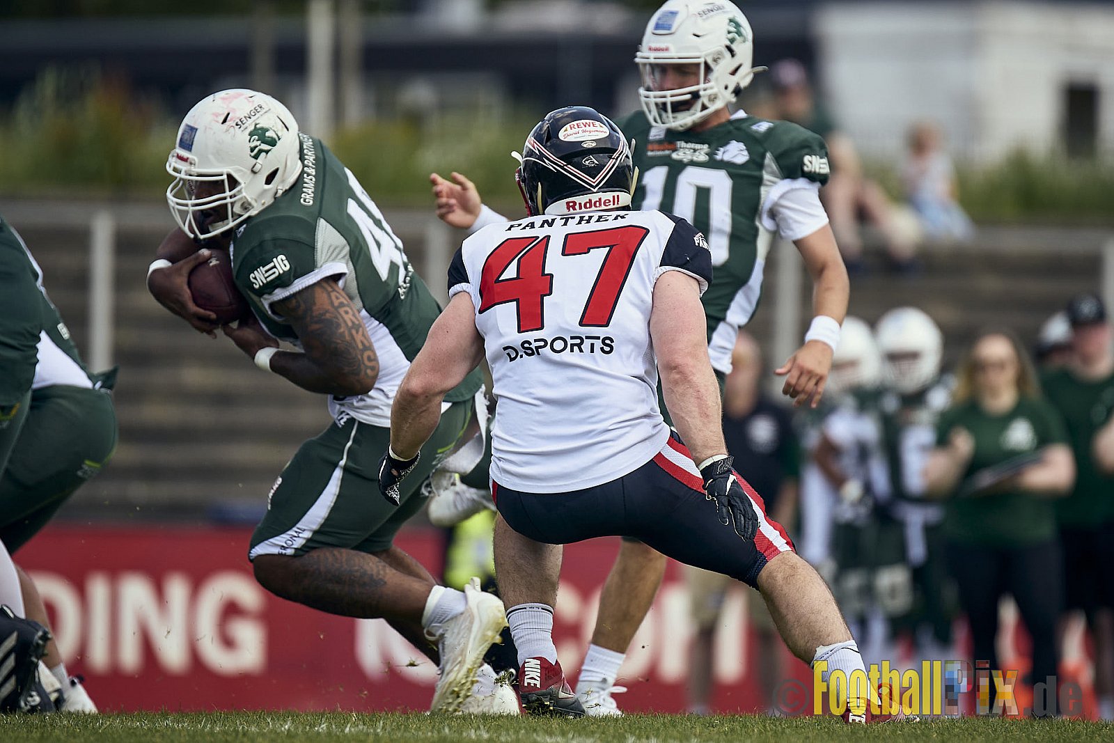 GFL2 Season 2024 Düsseldorf Panther vs. Bielefeld Bulldogs am 09.06.2024 im Bezirks Sportanlage Benrath, Nürnberger Straße, Benrath, Stadtbezirk 9, Dusseldorf, North Rhine – Westphalia, 40599, Germany. Punkte Endstand 30 : 0. - DPantherVsBielefeldBulldogs